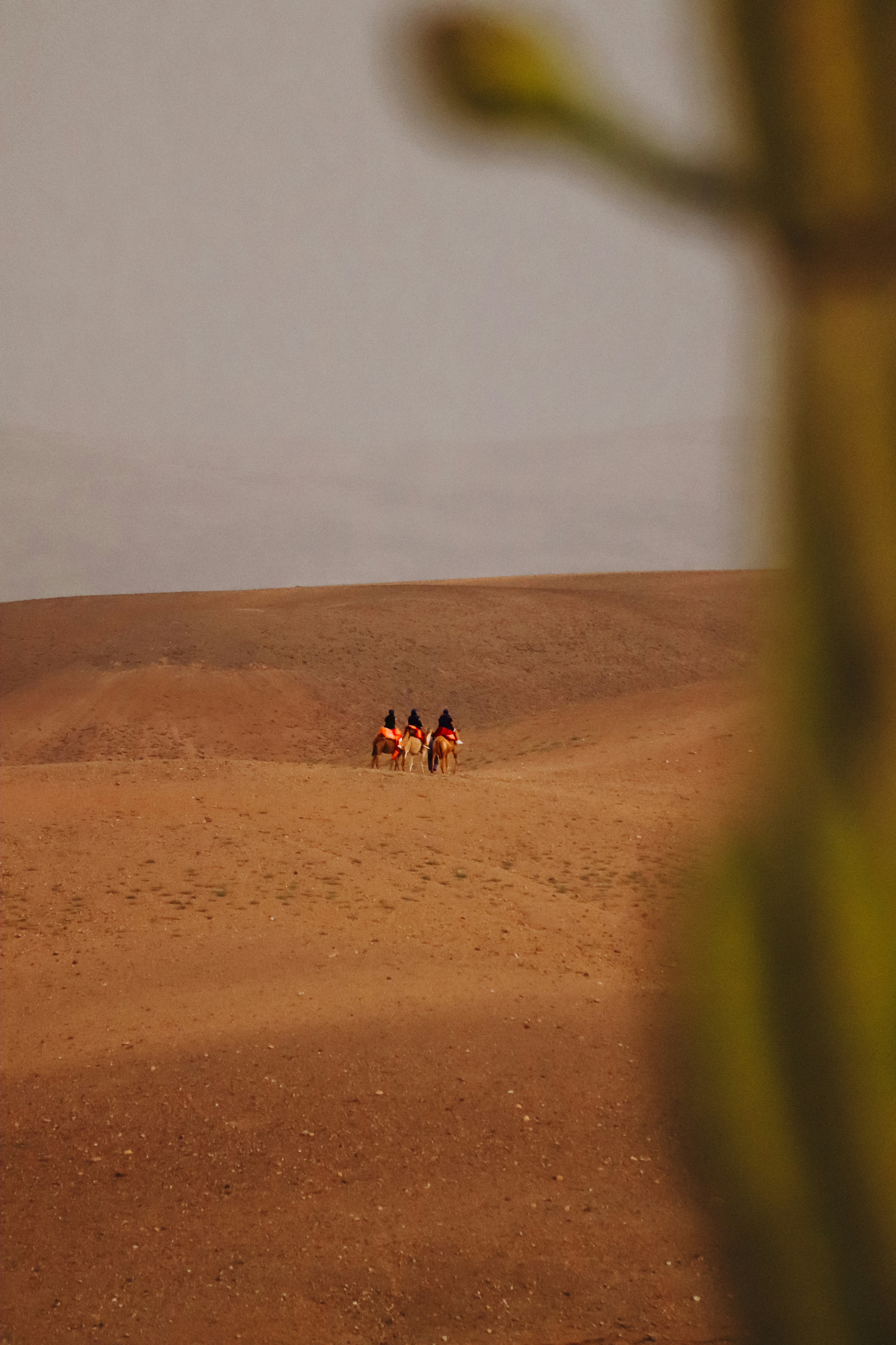 Campamento bereber en el desierto de Marruecos