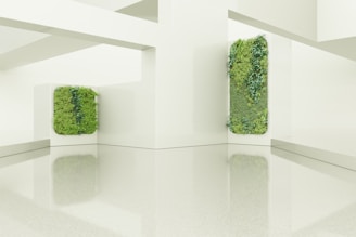 A white room with a green plant in the center