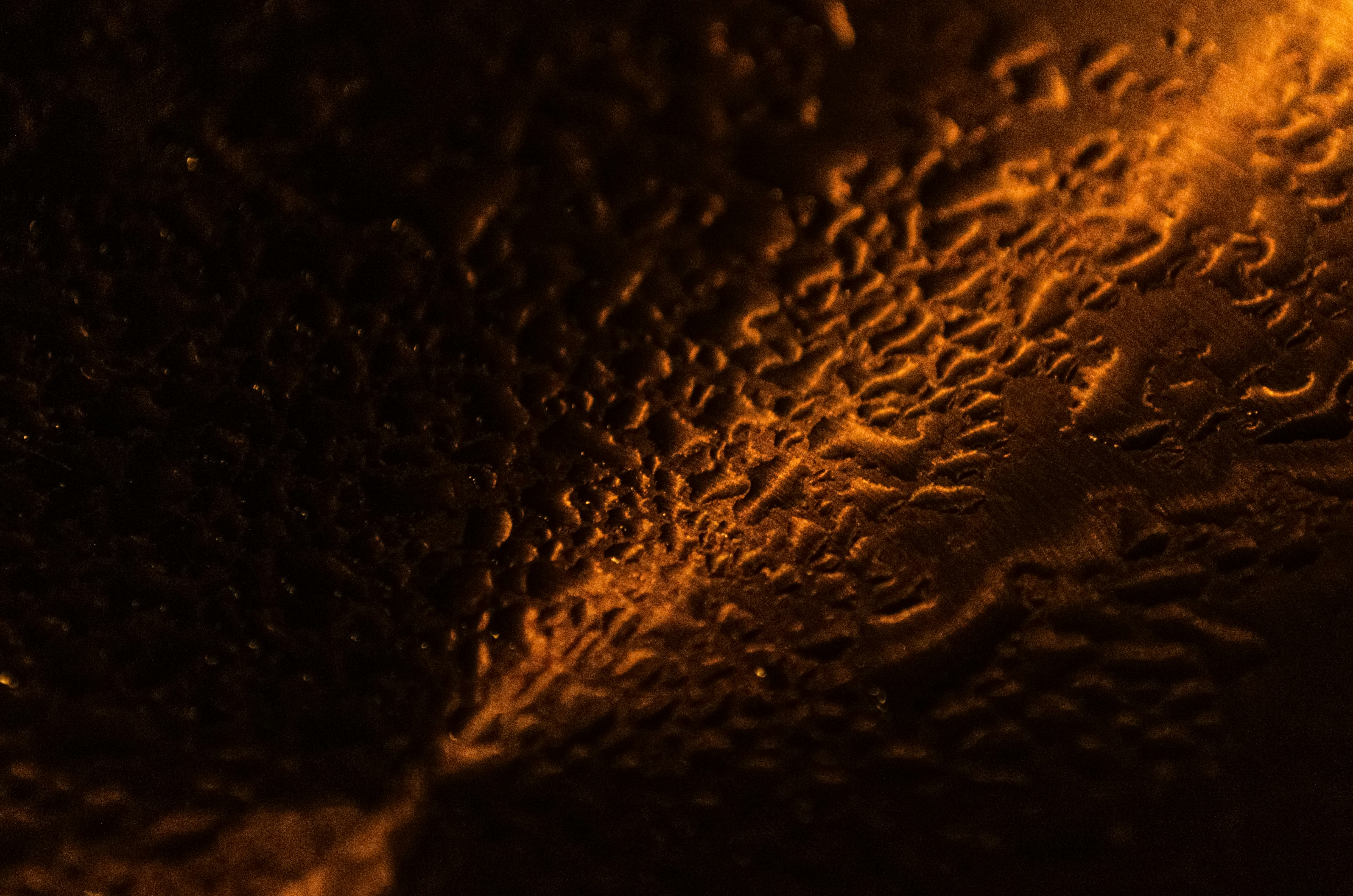 Photo by andrilliardbond