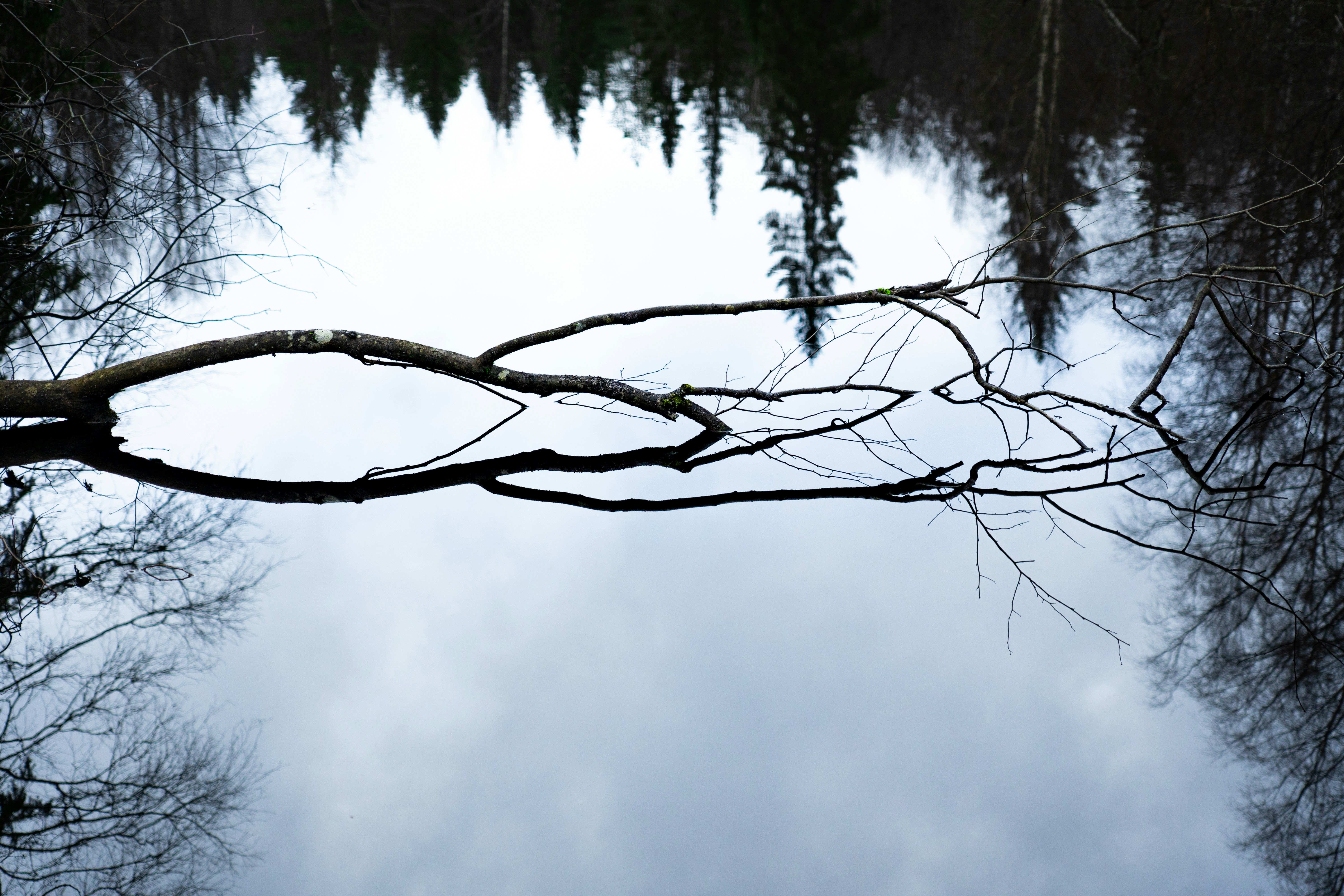 Reflection on experience