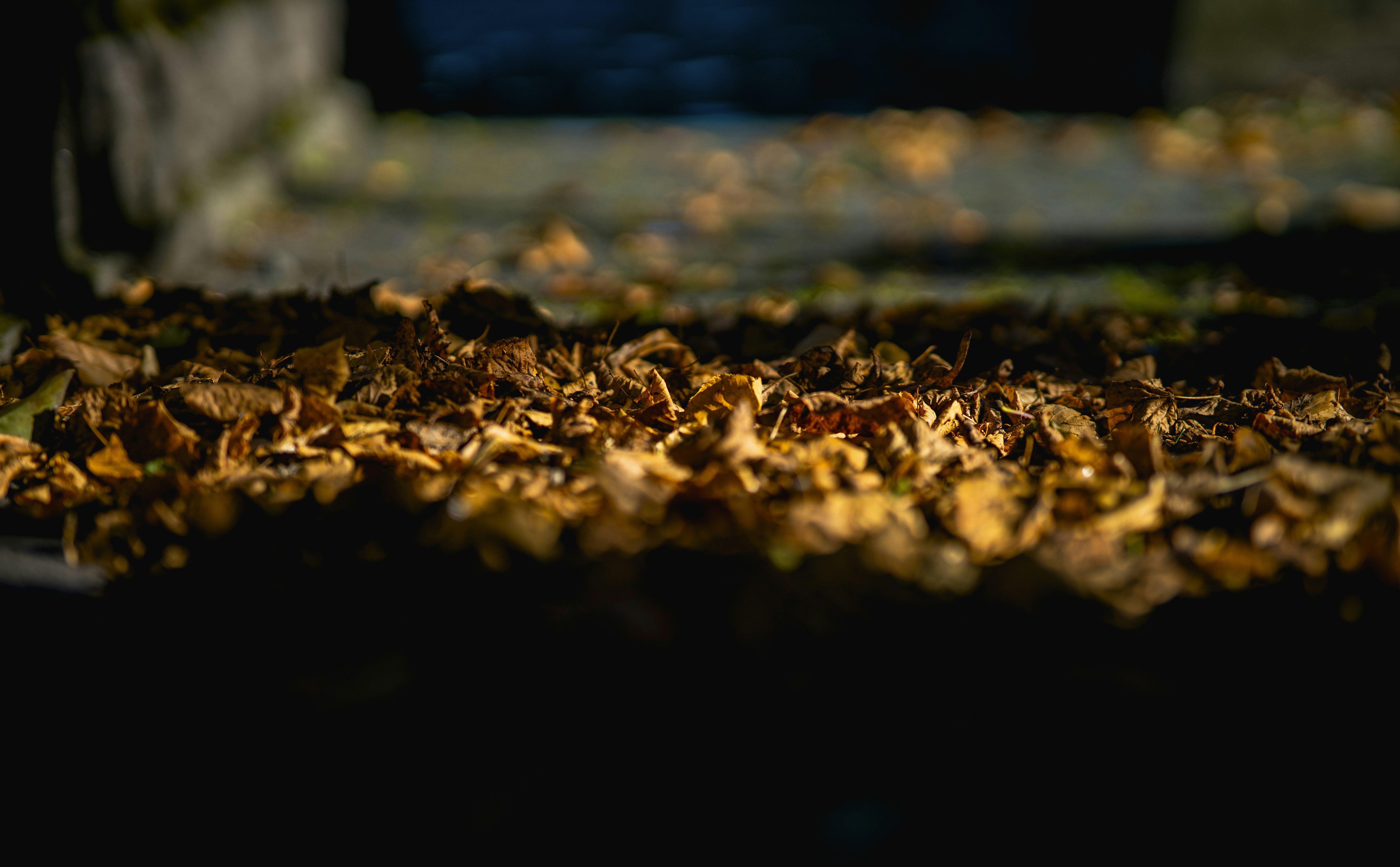 Photo by jahan_photobox