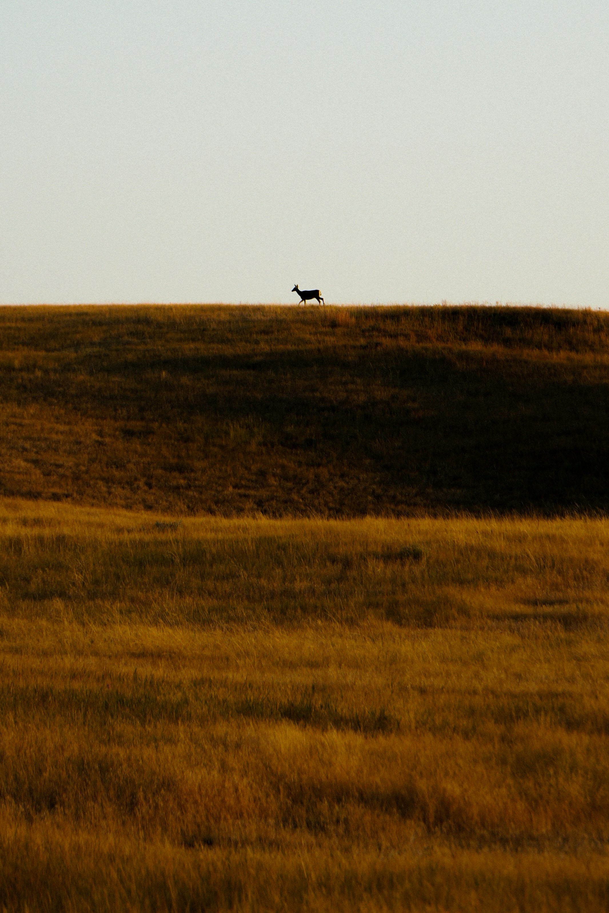 Photo by wanderworks