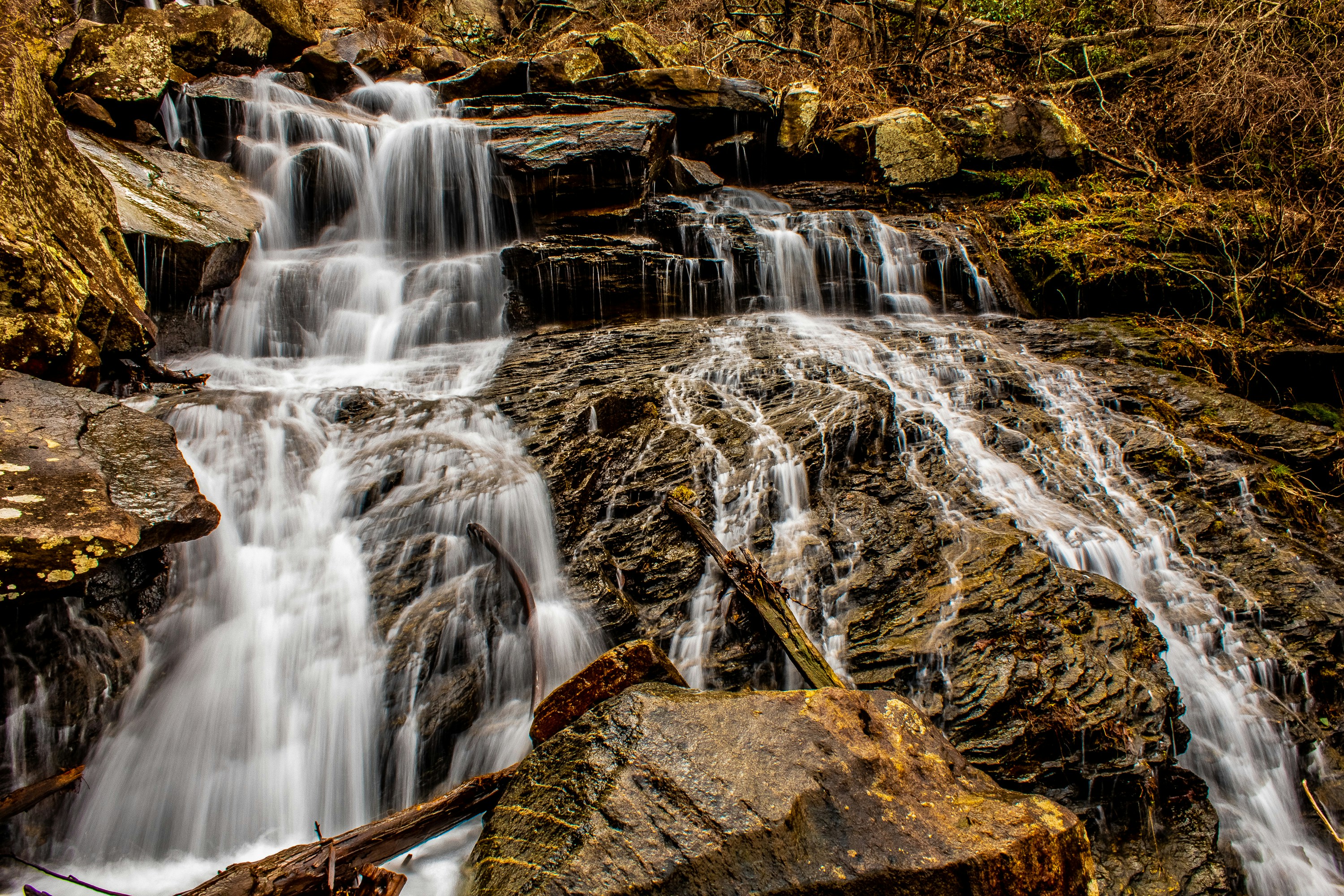 A small waterfall in the middle of a forest