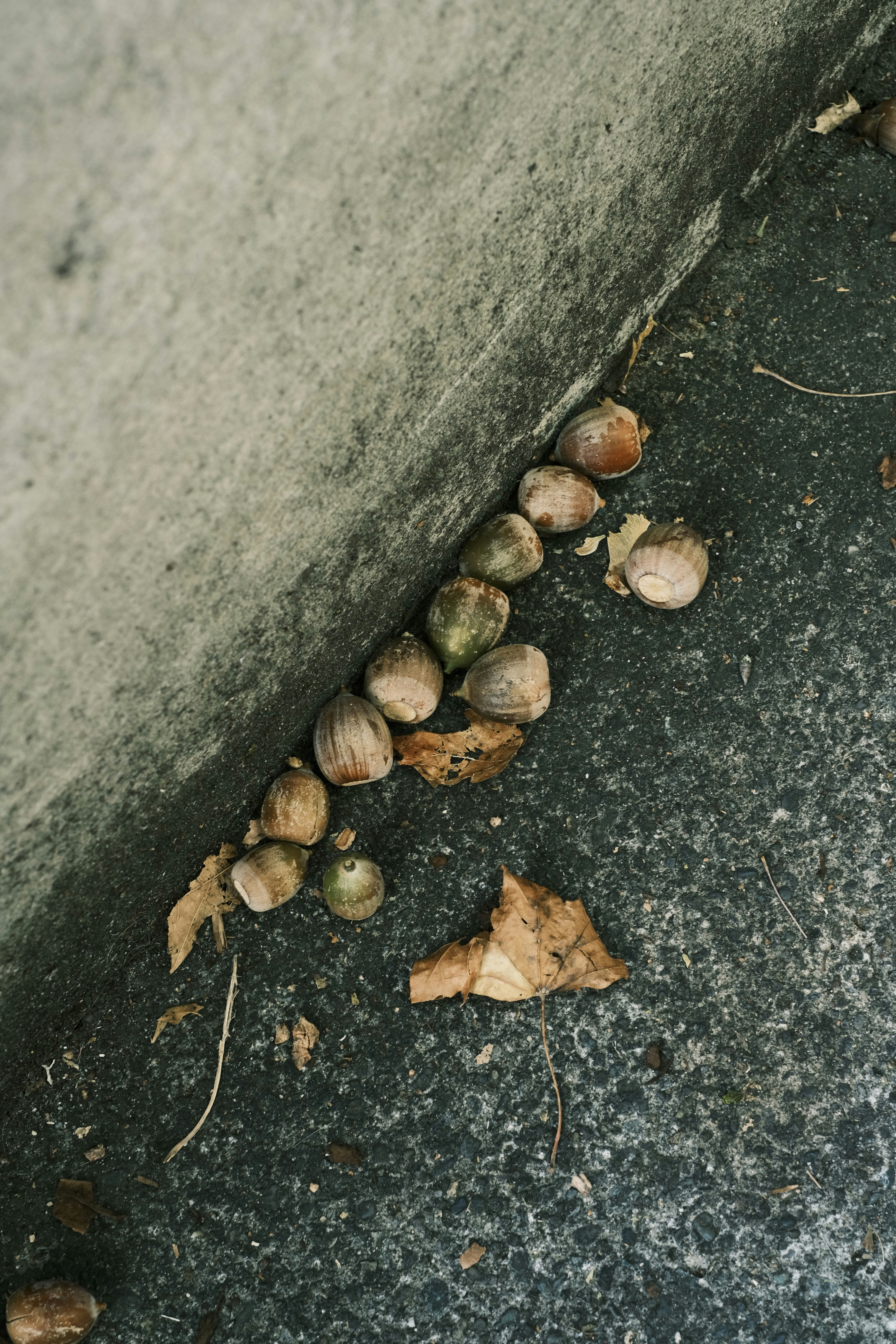 A bunch of nuts on the ground next to a wall