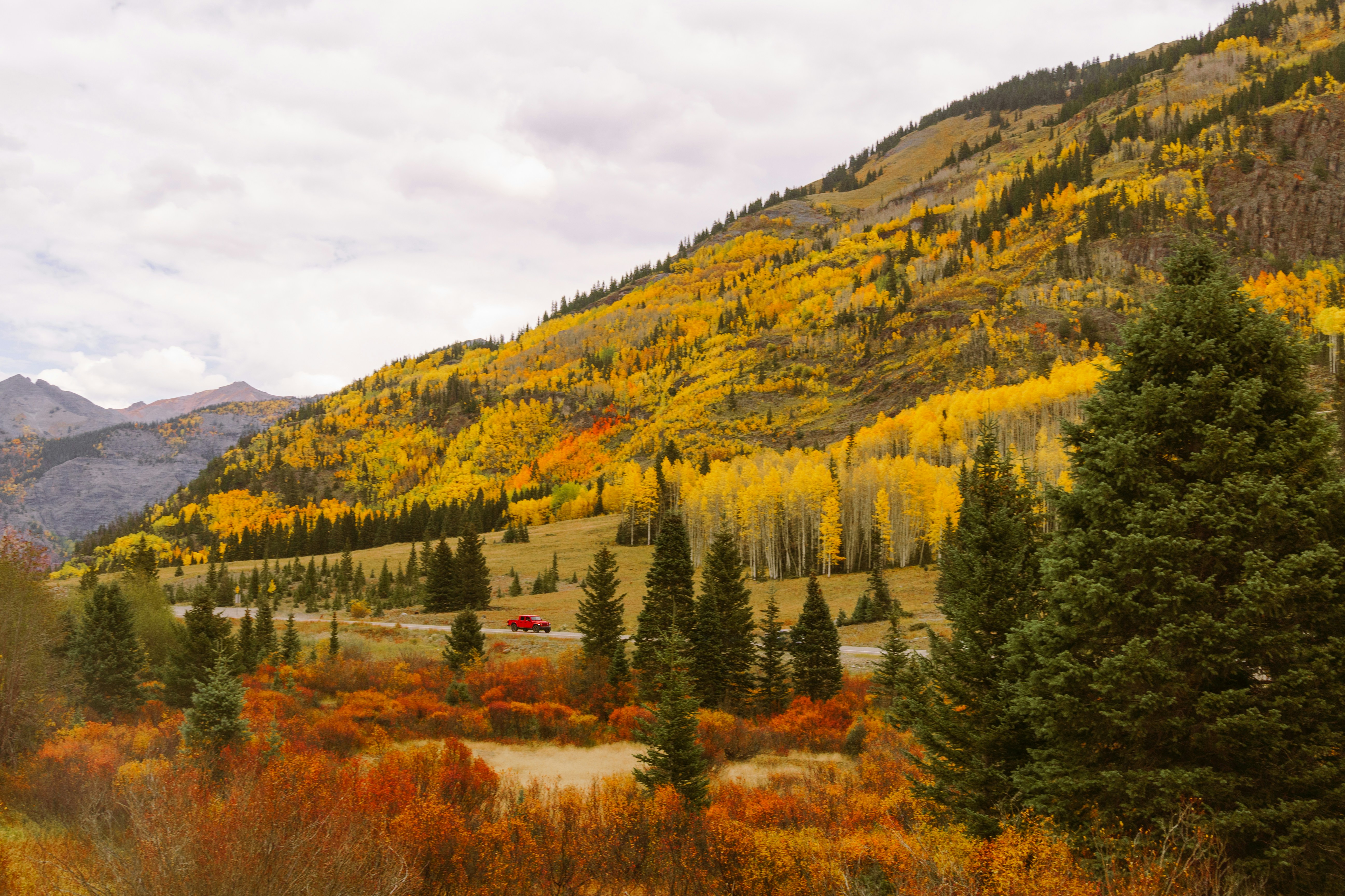 Photo by jaspergribble