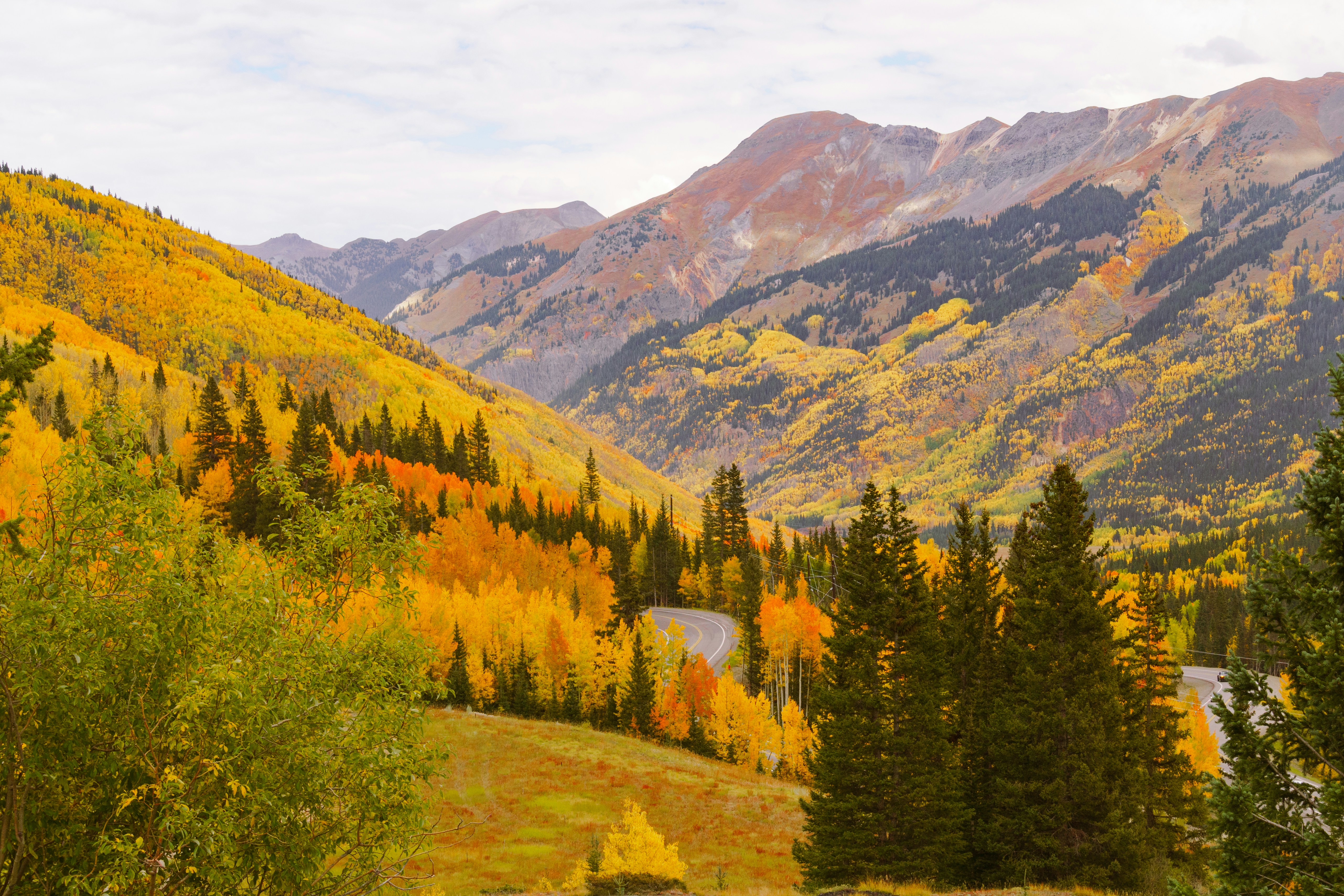 Photo by jaspergribble