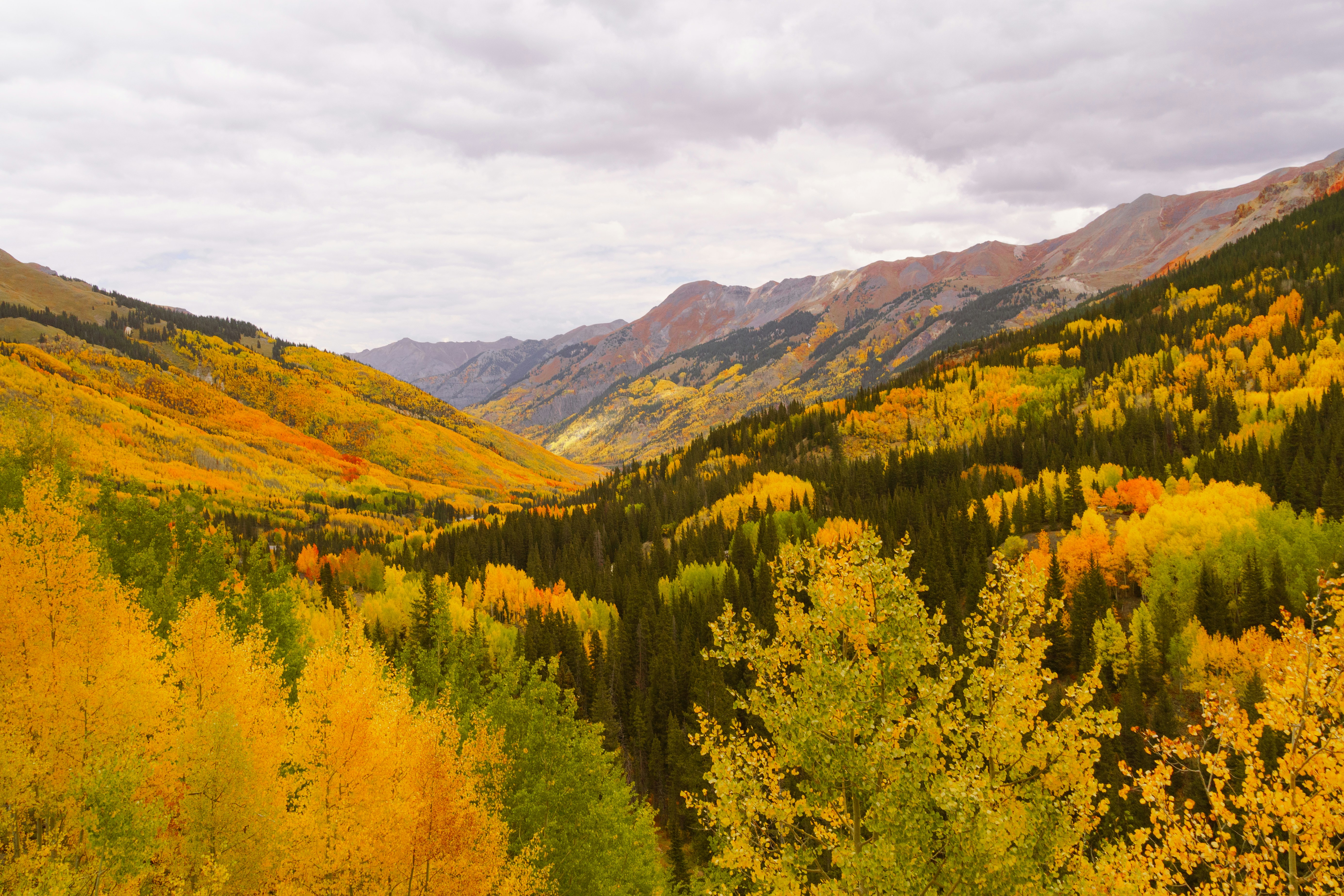 Photo by jaspergribble