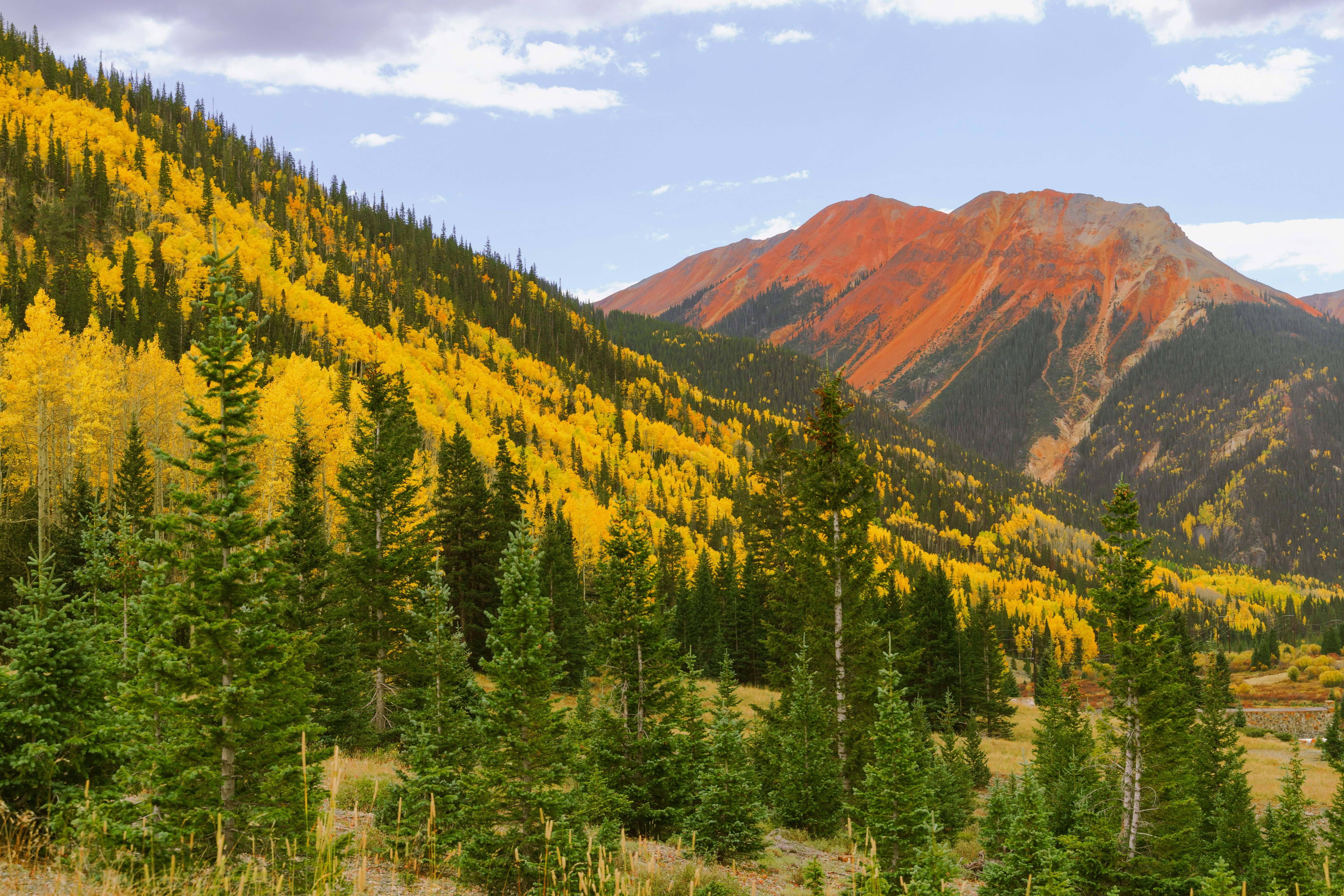 Photo by jaspergribble