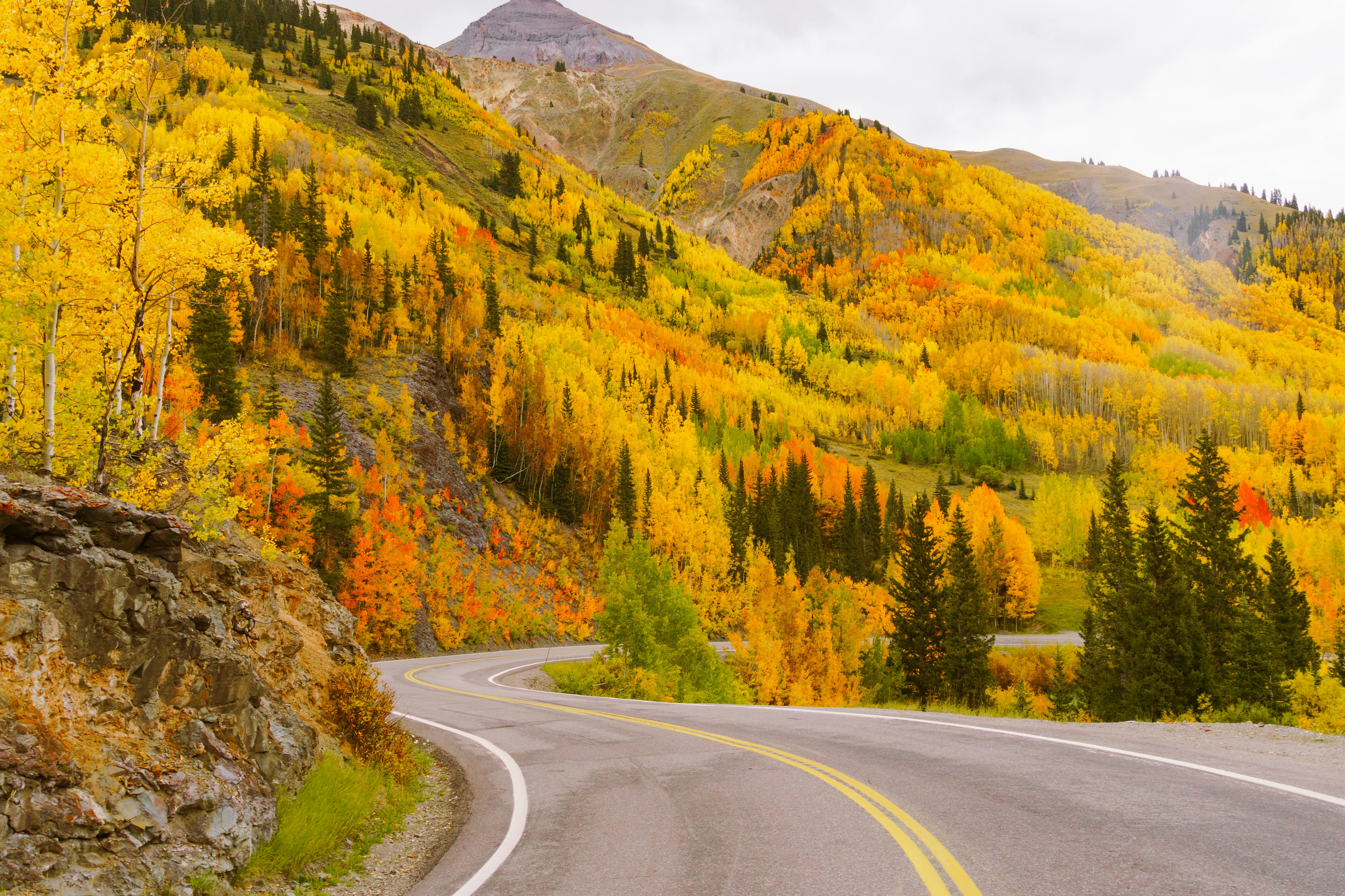 Photo by jaspergribble