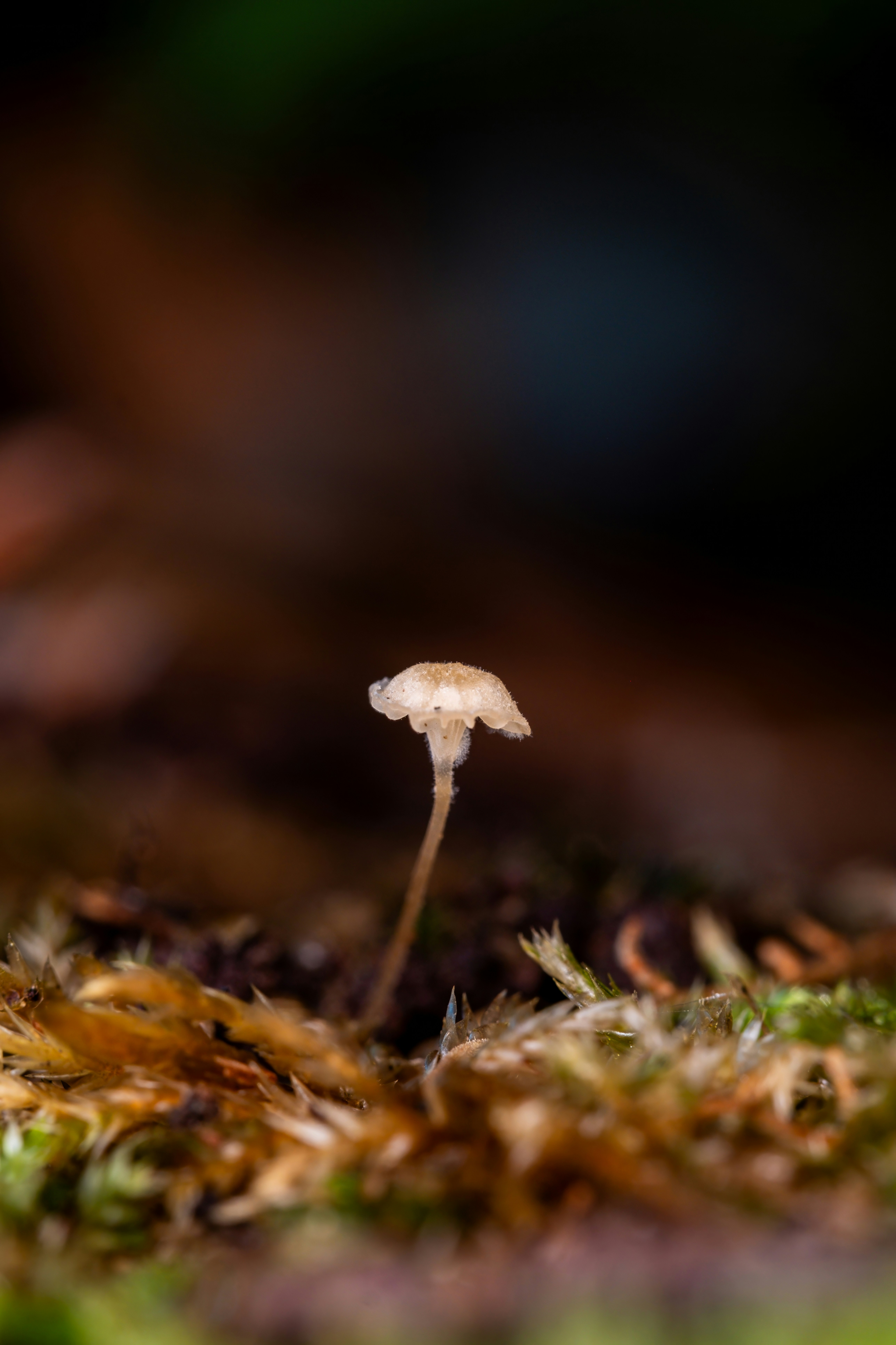 Photo by alexandredaoust