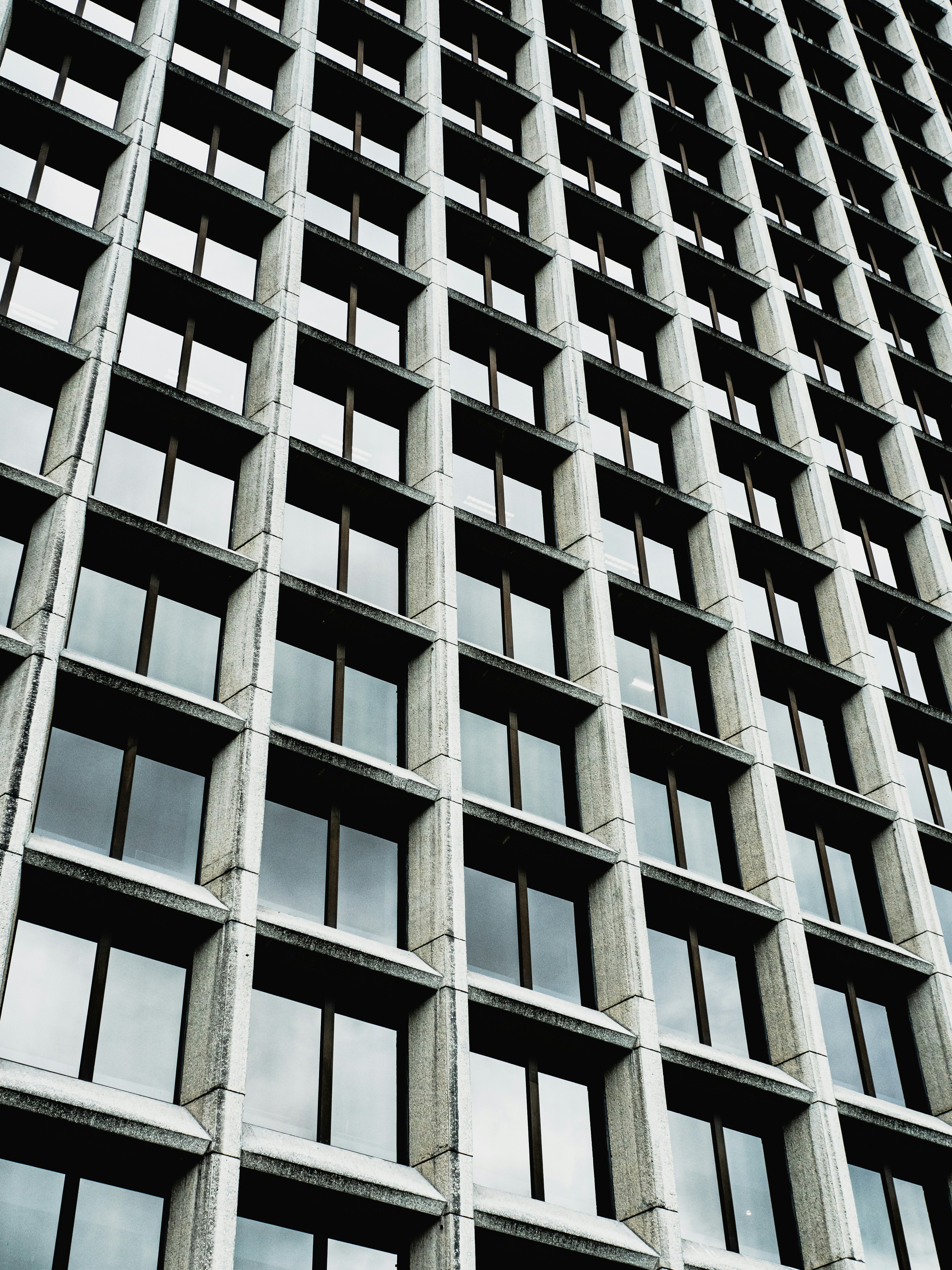 Photo by connellshandler