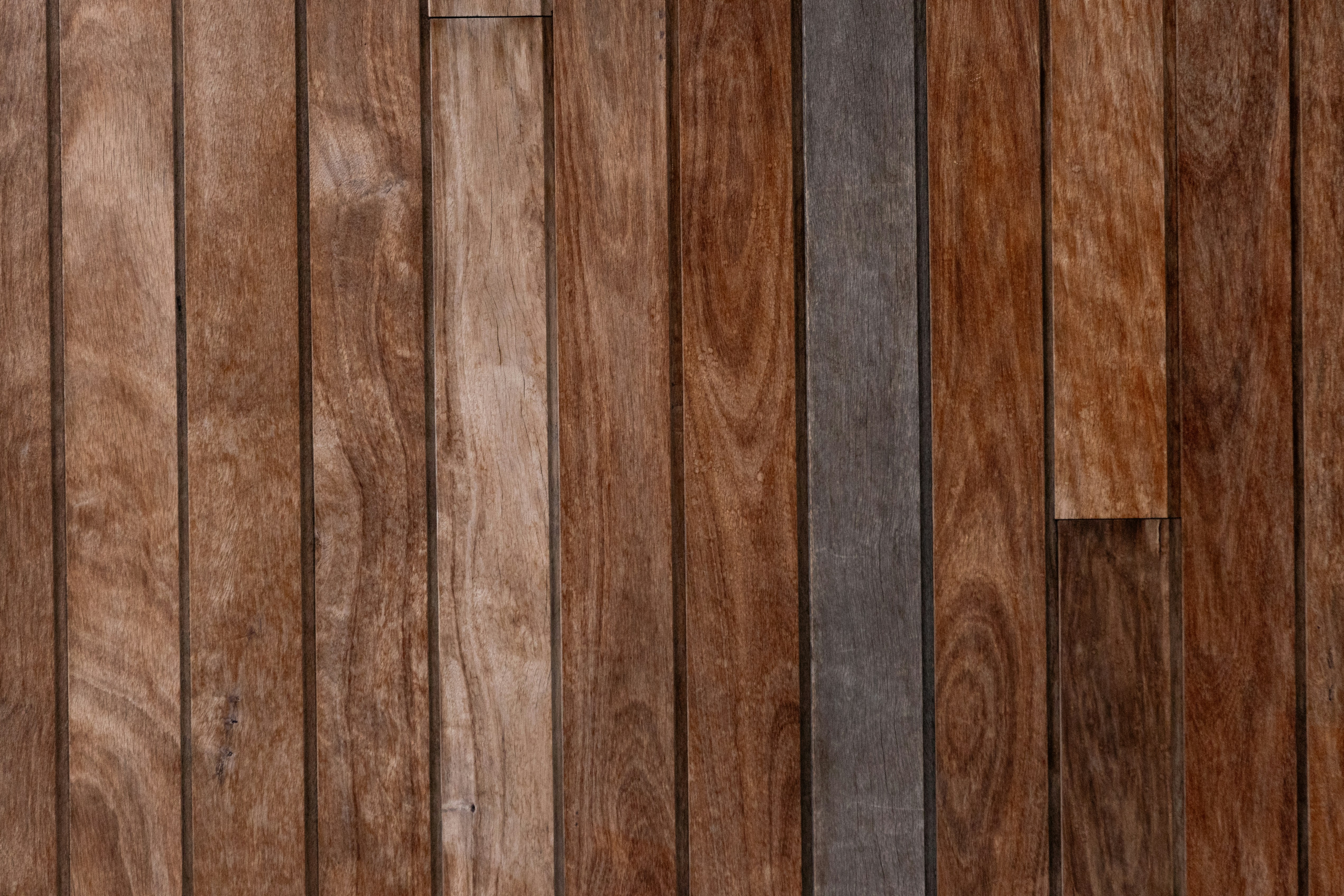 Photo by trinapowercreative