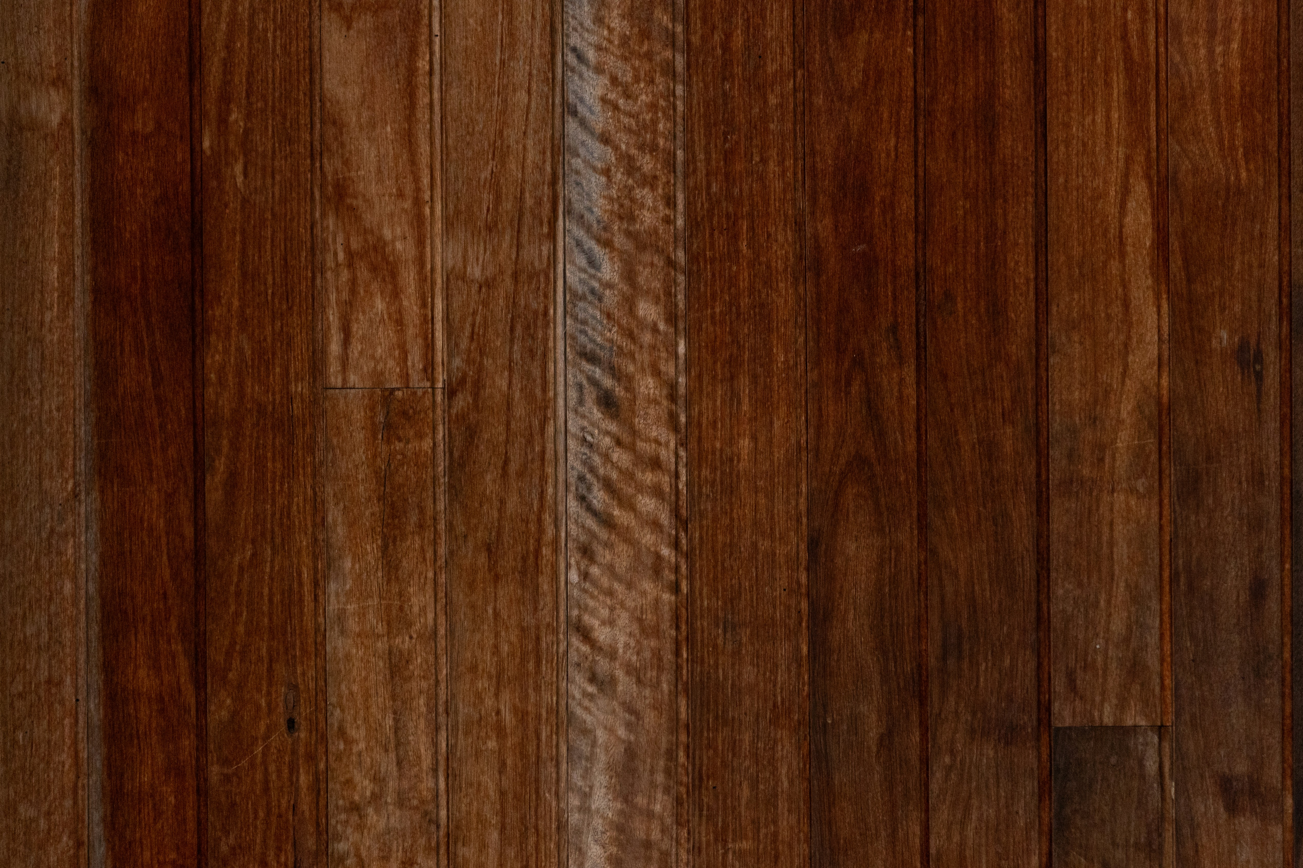 Photo by trinapowercreative