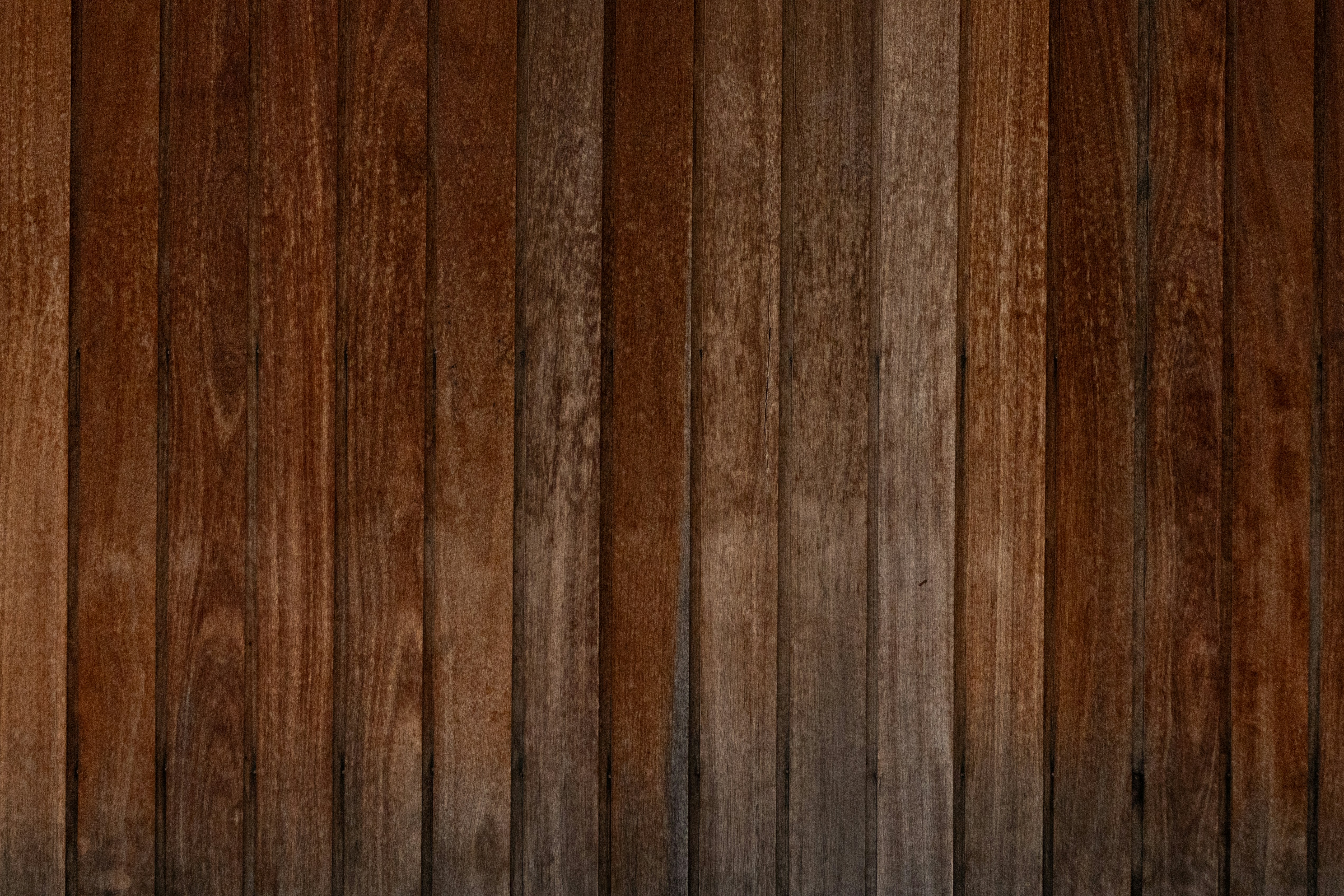 Photo by trinapowercreative