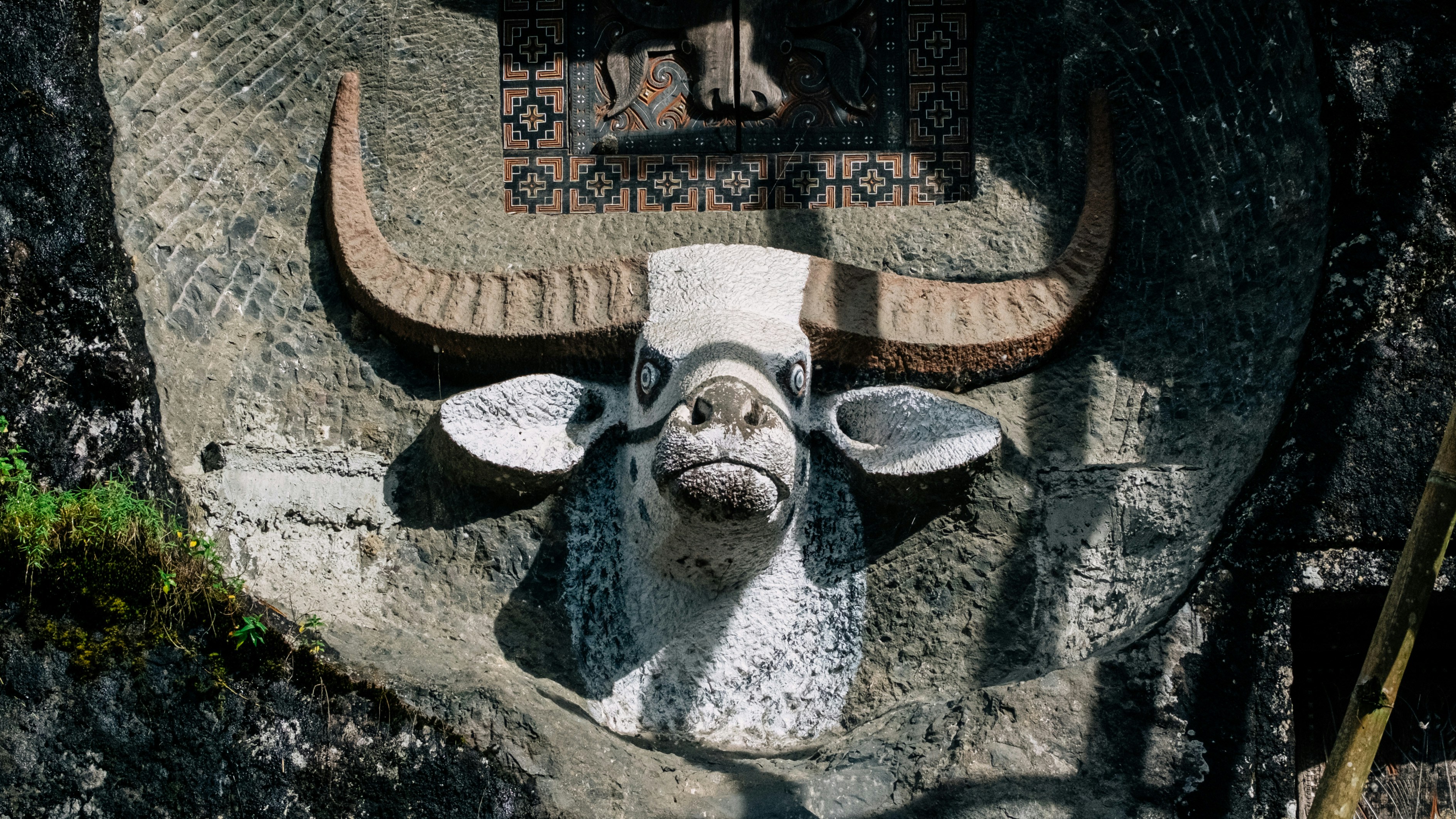 OX