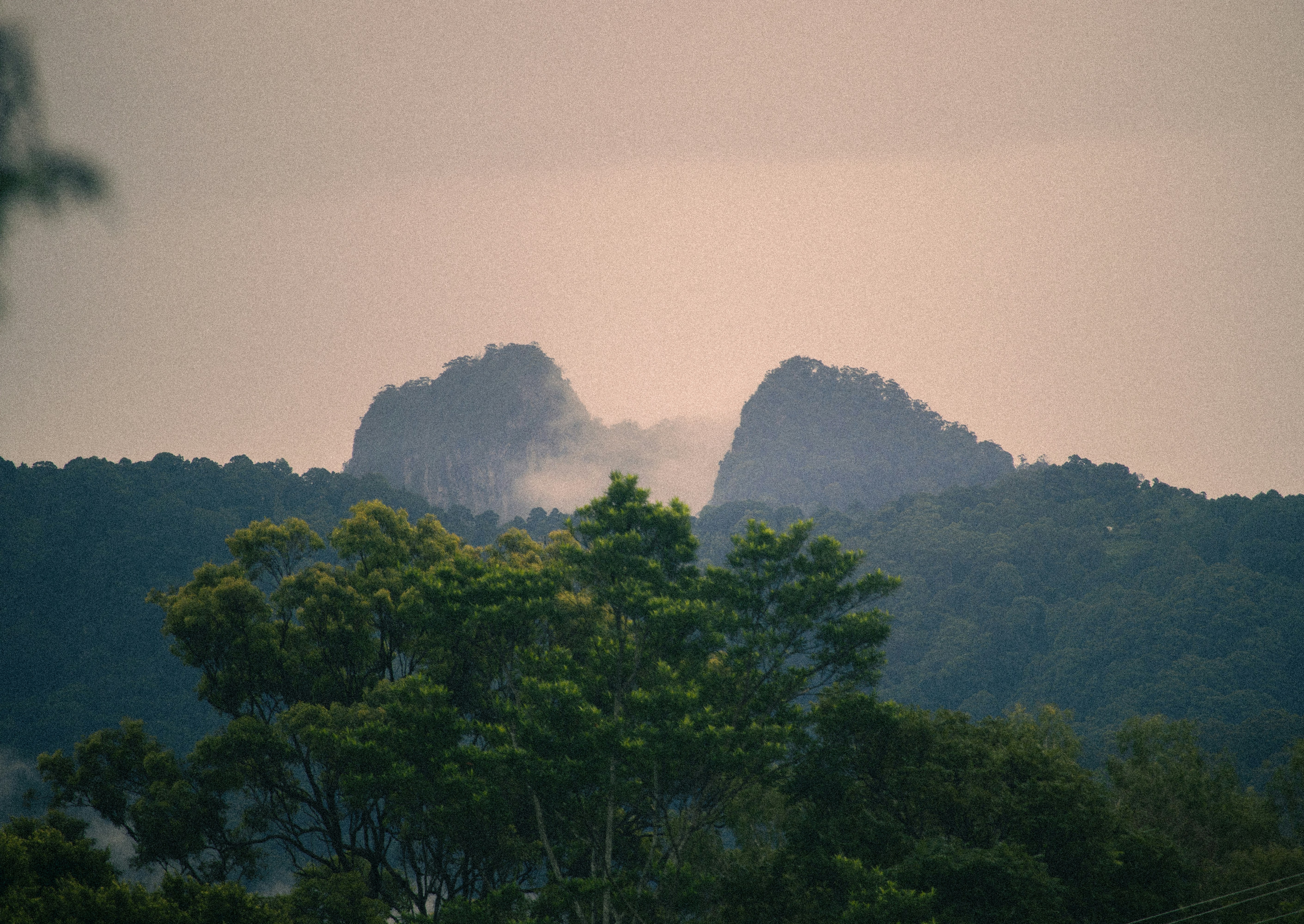 A view of a mountain range with trees in the foreground photo – Free ...