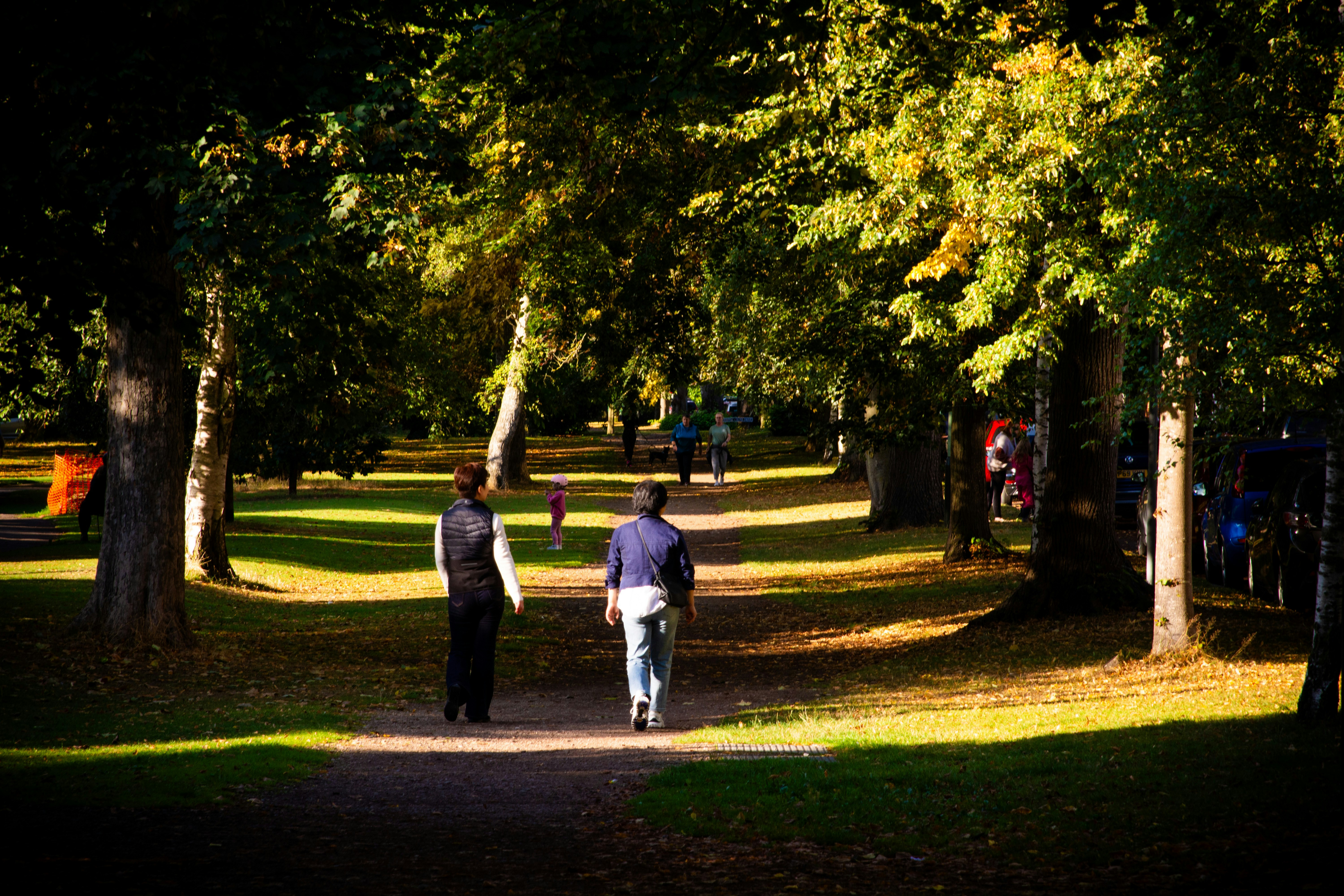 A couple of people walking down a dirt road