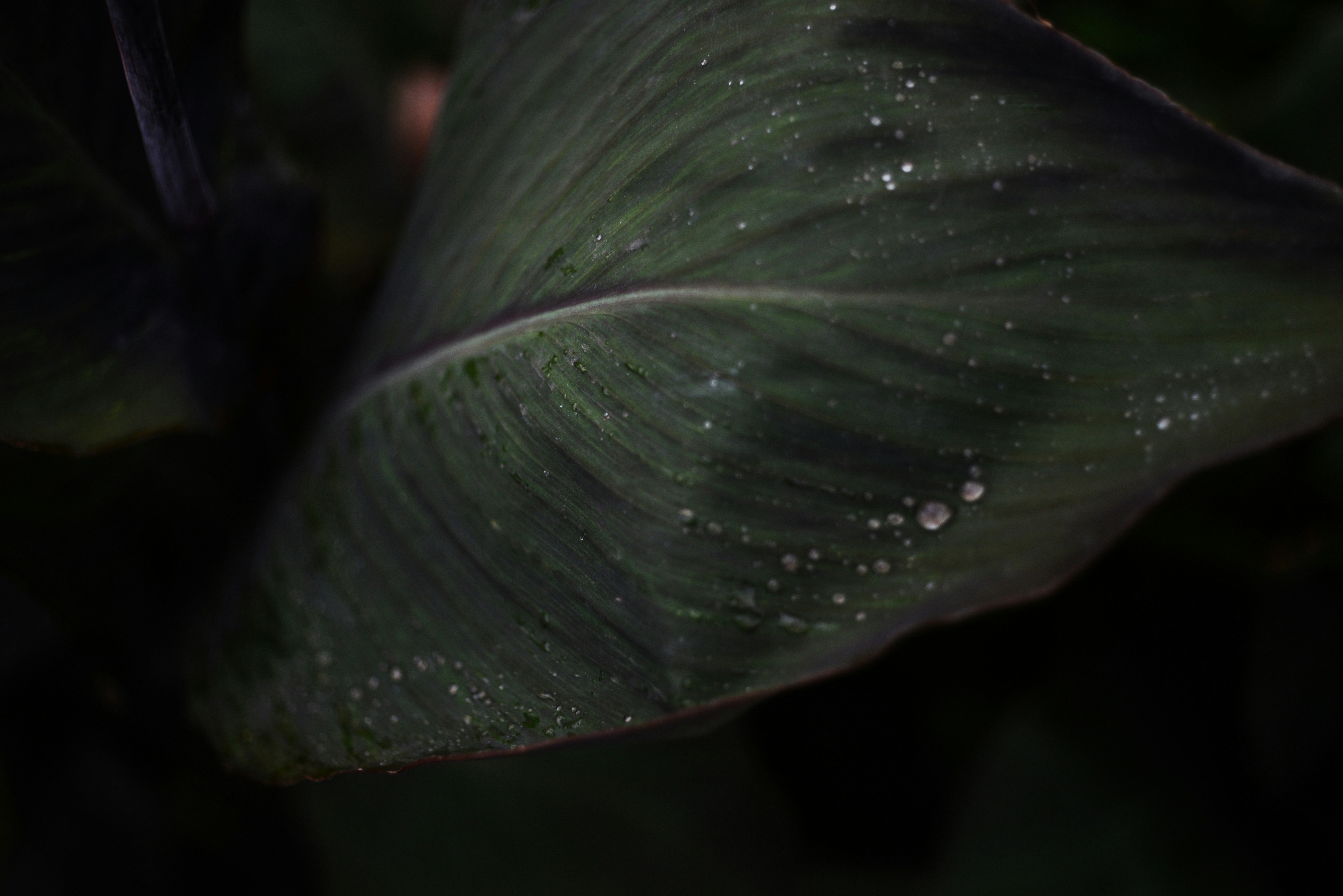 Photo by cherstve_pechivo