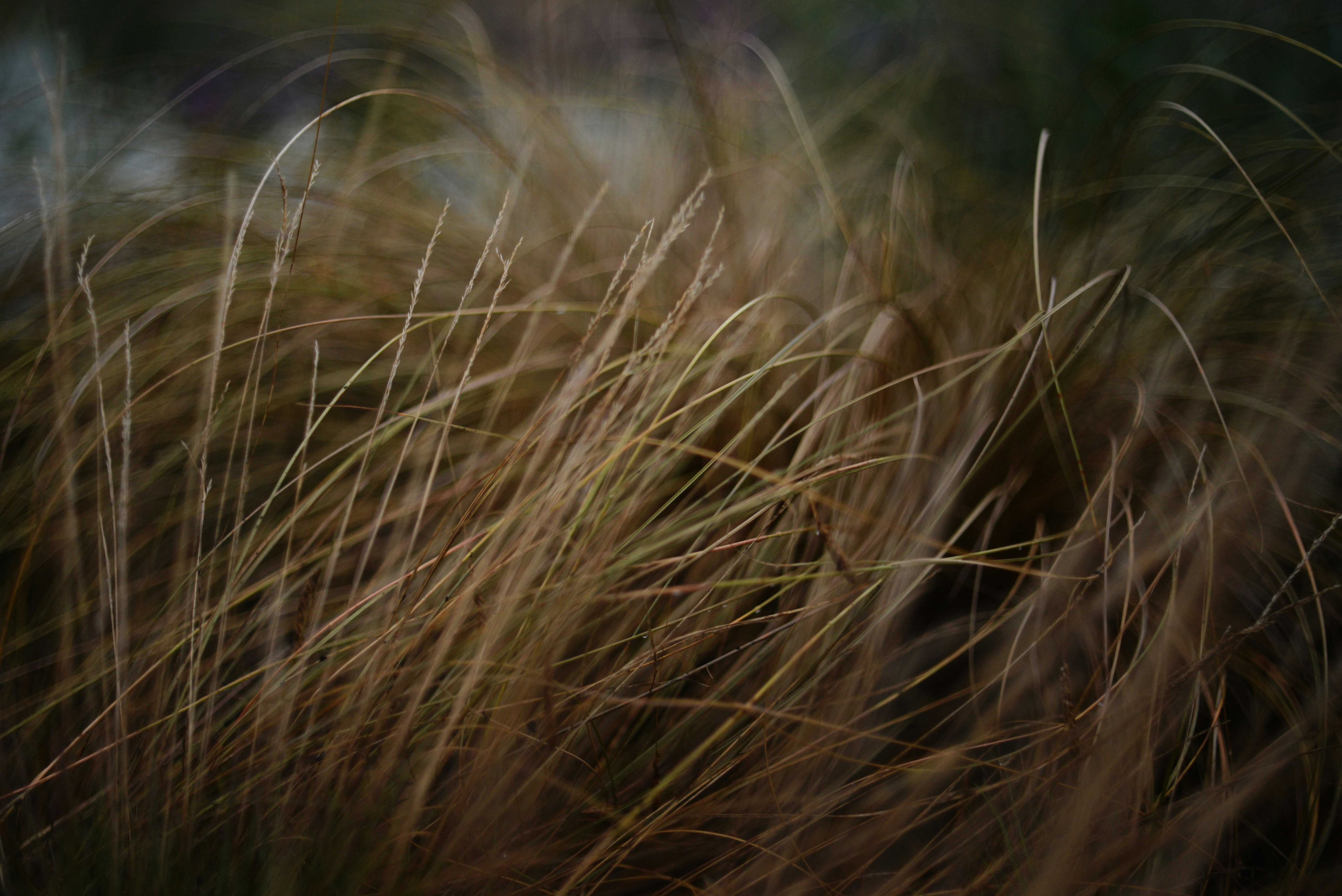 Photo by cherstve_pechivo