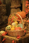A basket filled with lots of different colored pumpkins