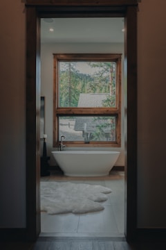 A bath room with a tub a window and a rug