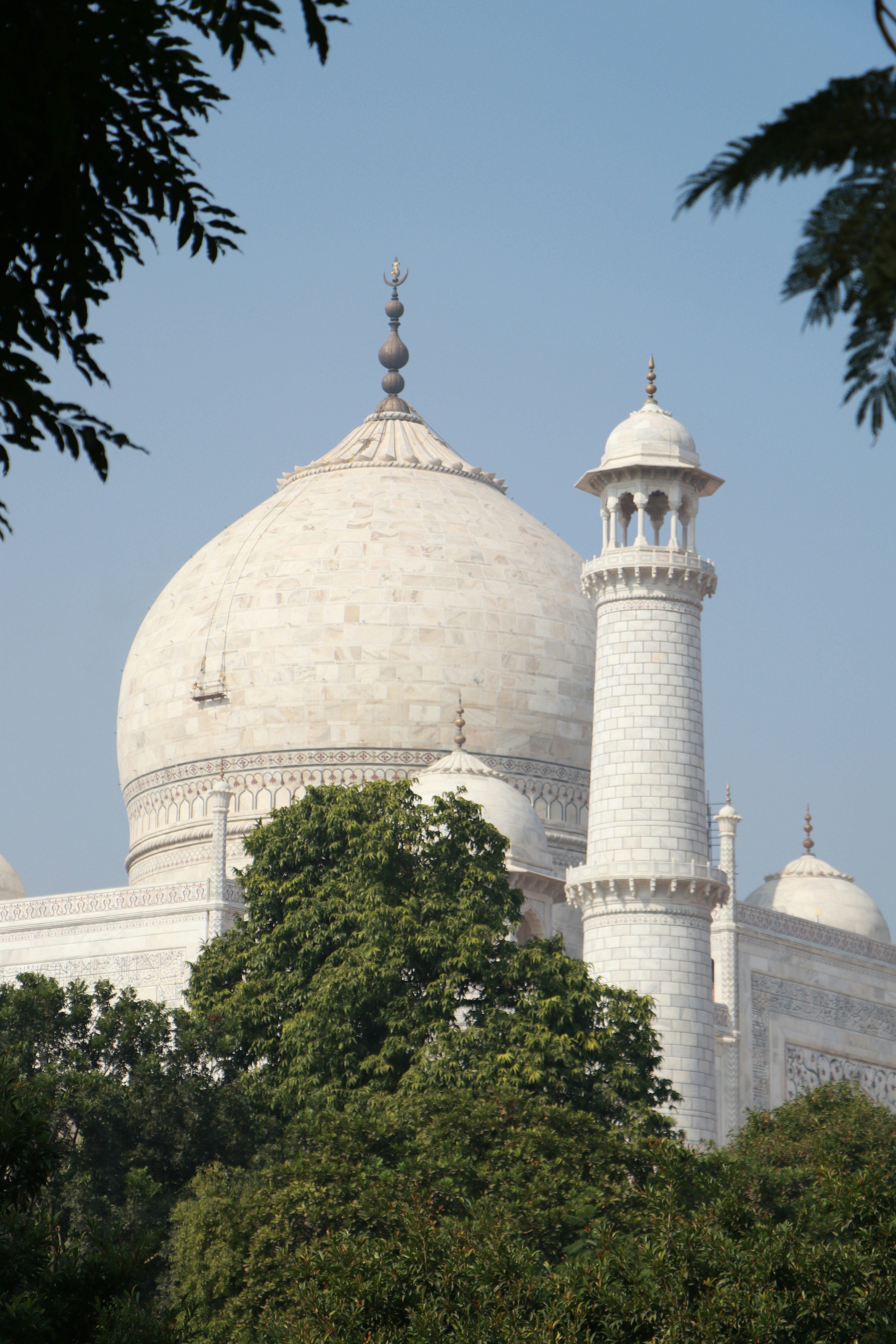 Photo by muskan_dev_00