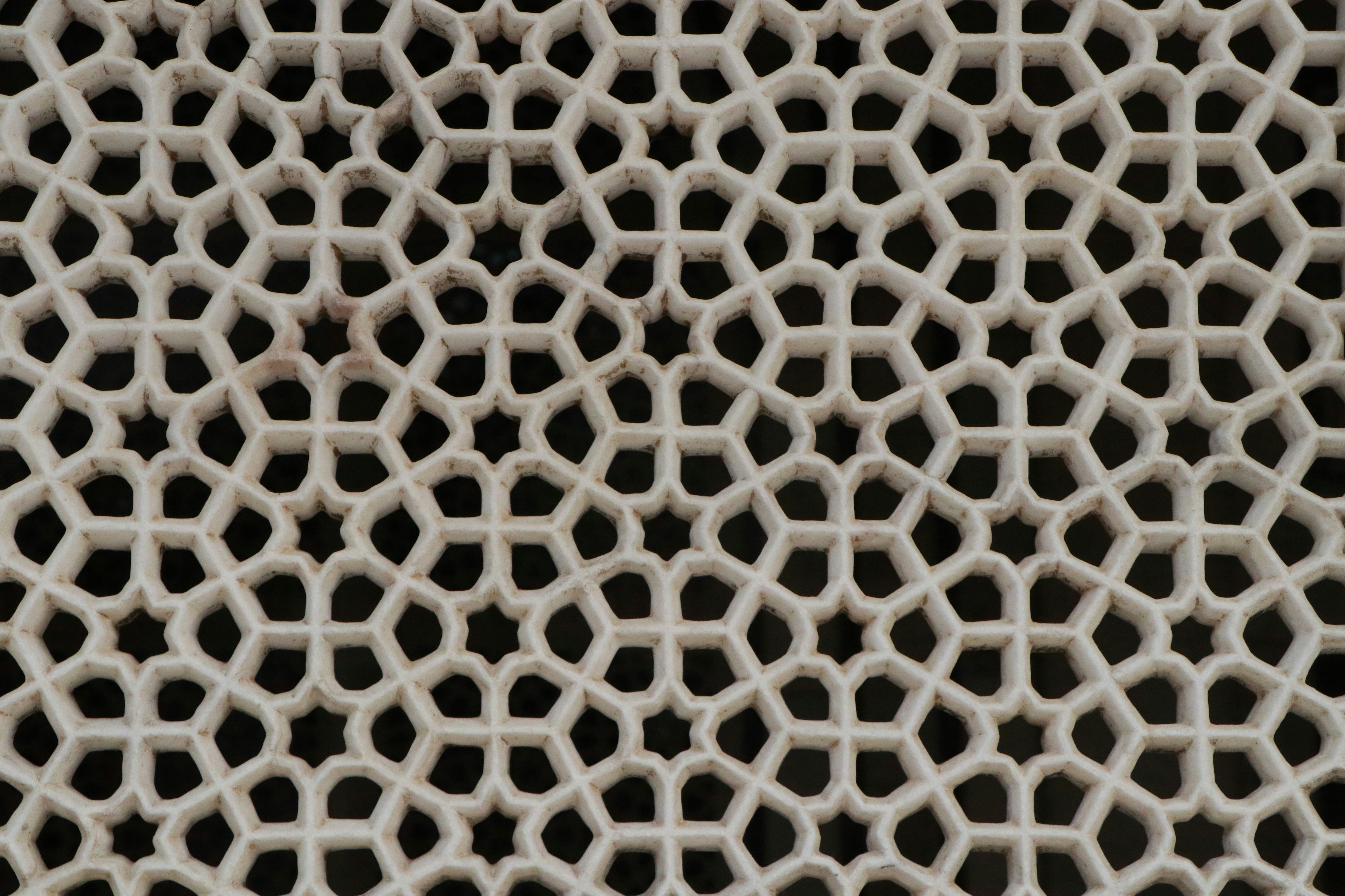 Photo by muskan_dev_00