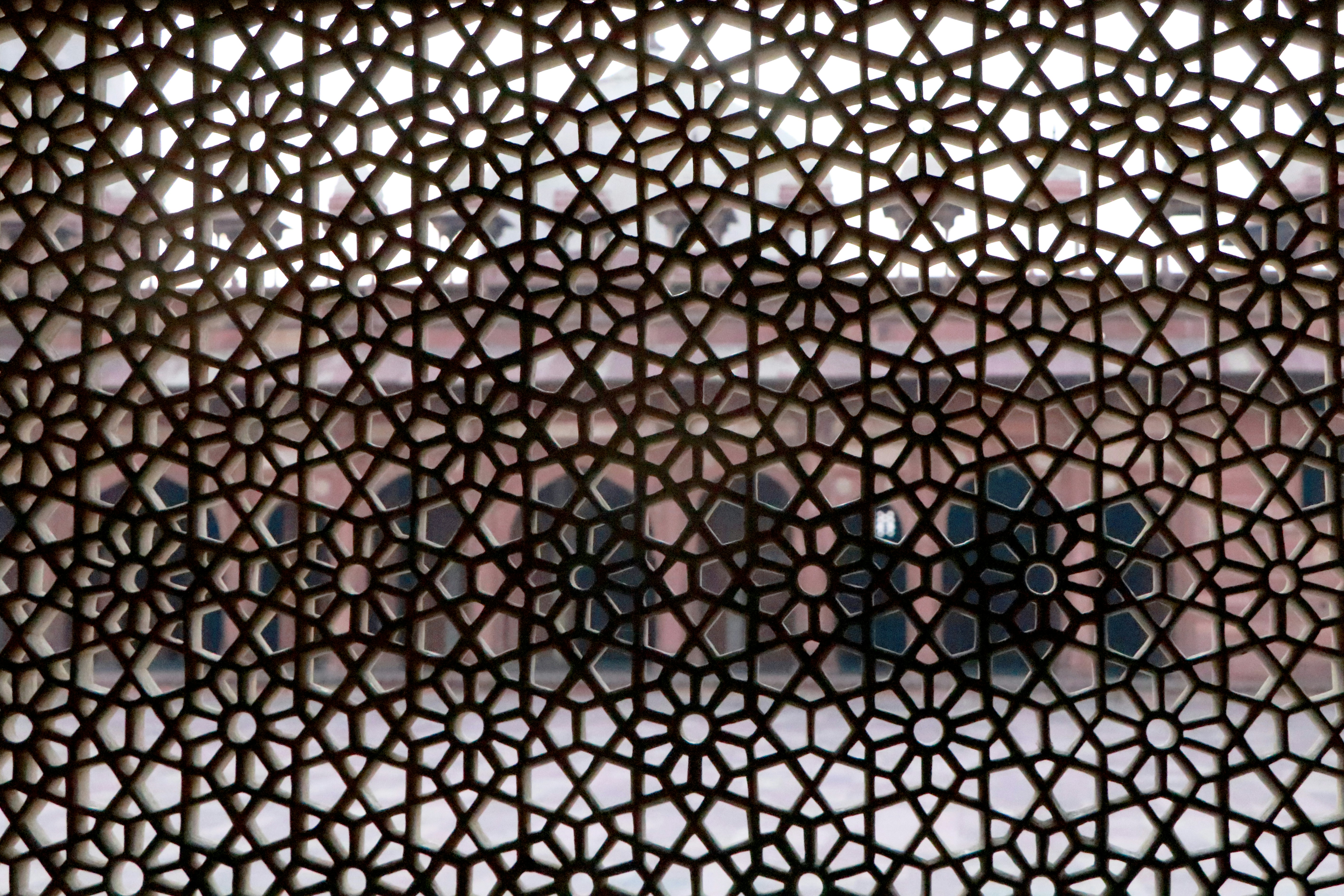 Photo by muskan_dev_00