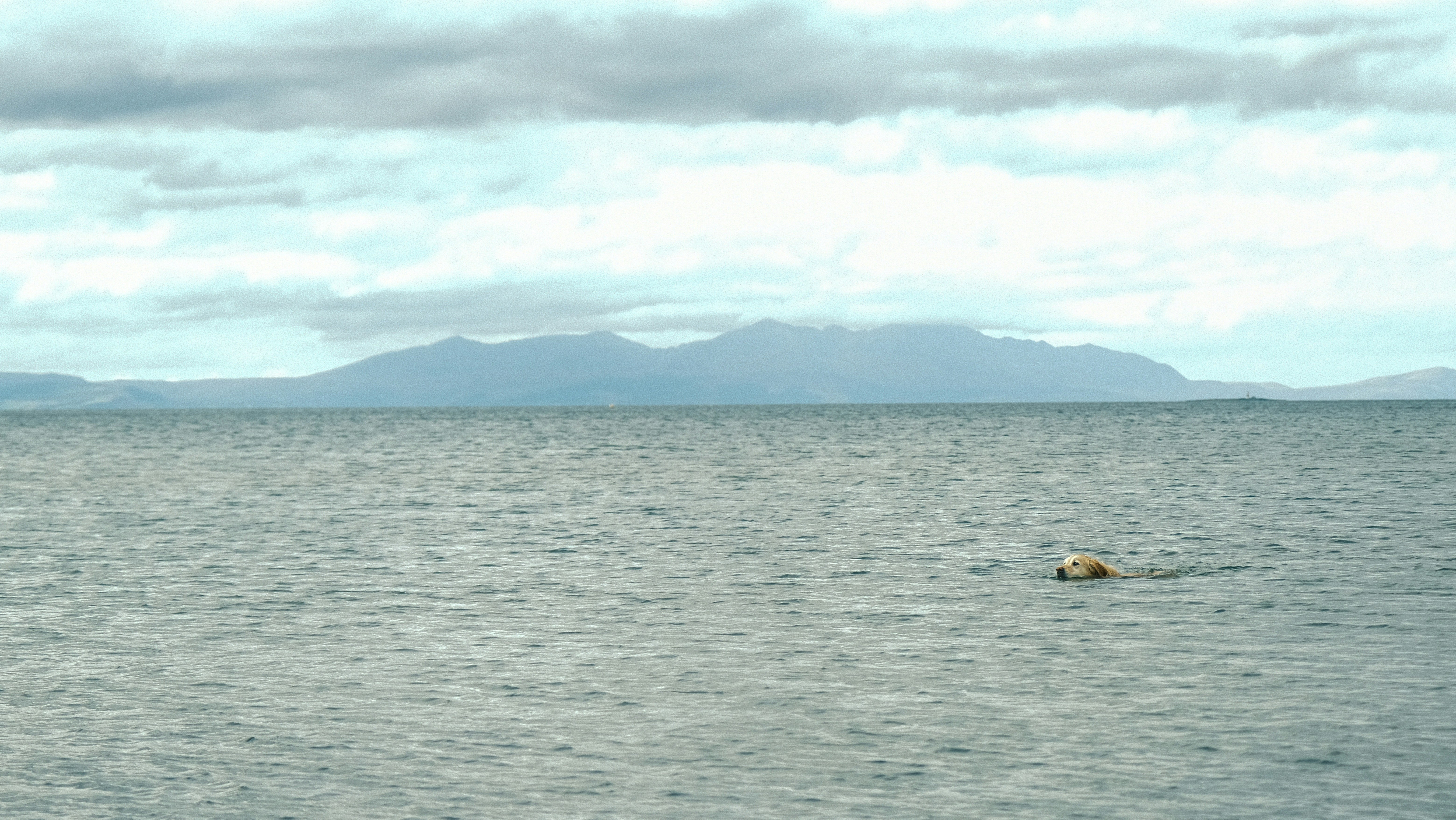 Photo by stephenoble