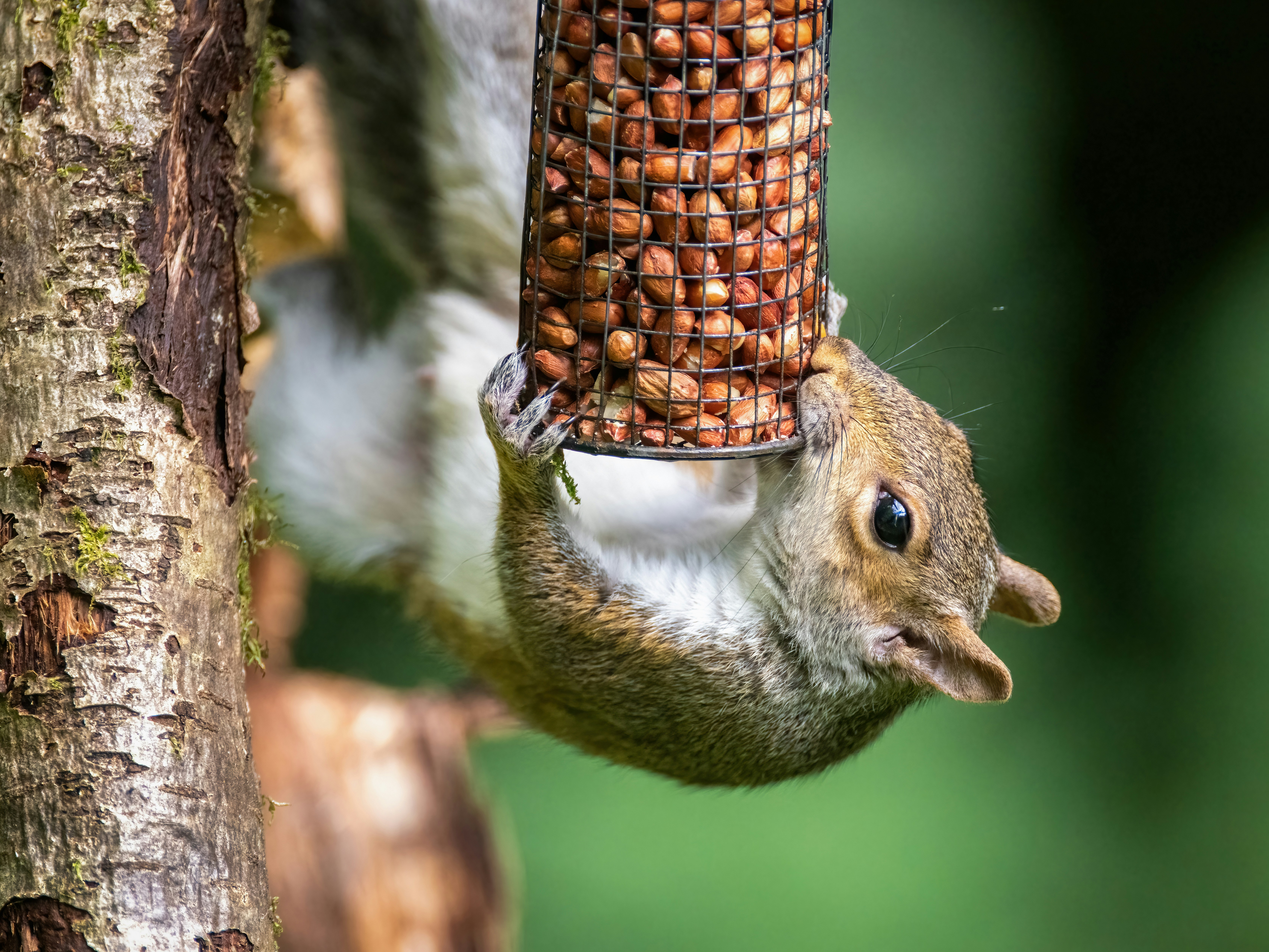 **심장을 훔치는 디자인, 성공을 조각하다: 제품 디자인 불변의 법칙**
