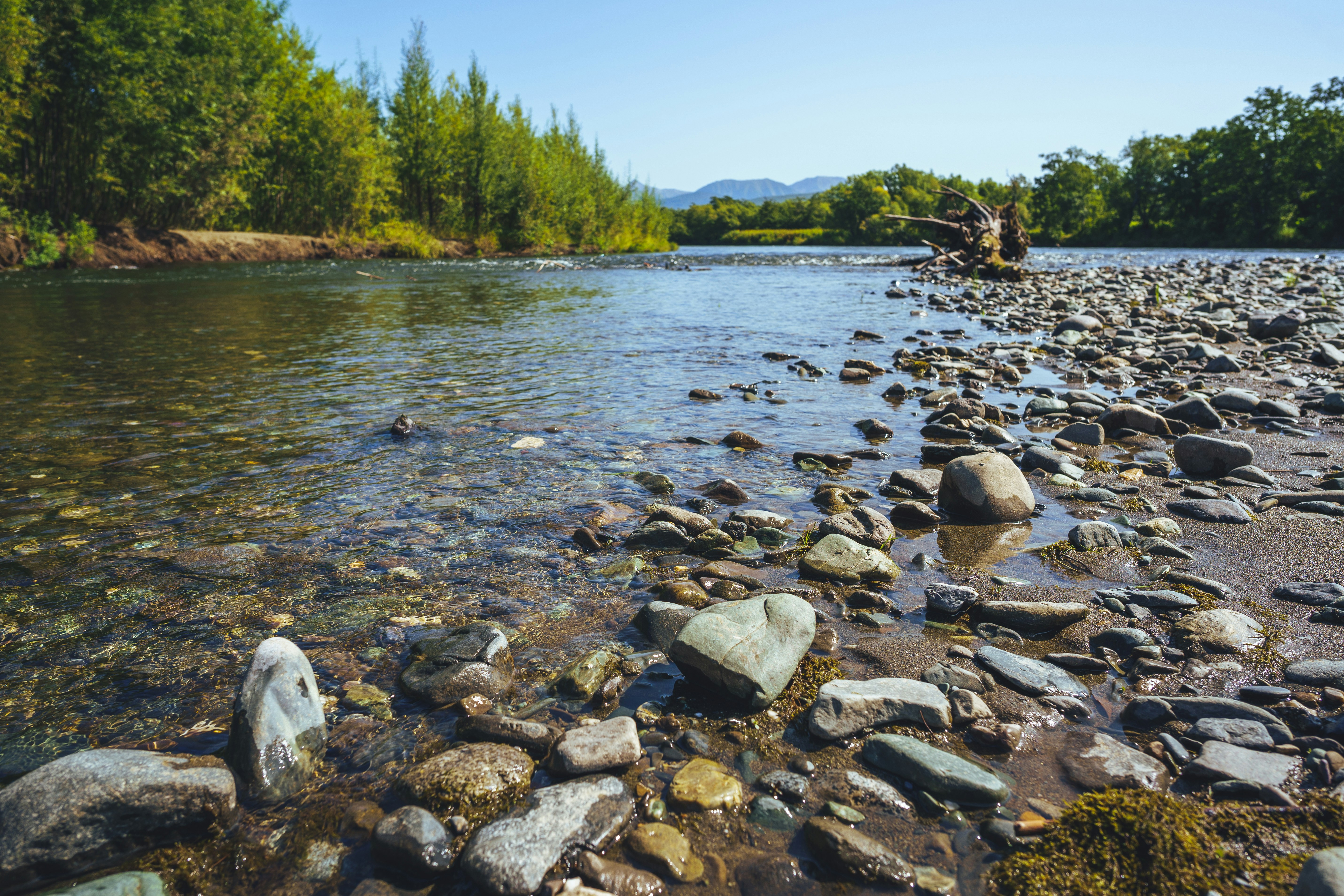 Photo by mirrors_are_more_fun