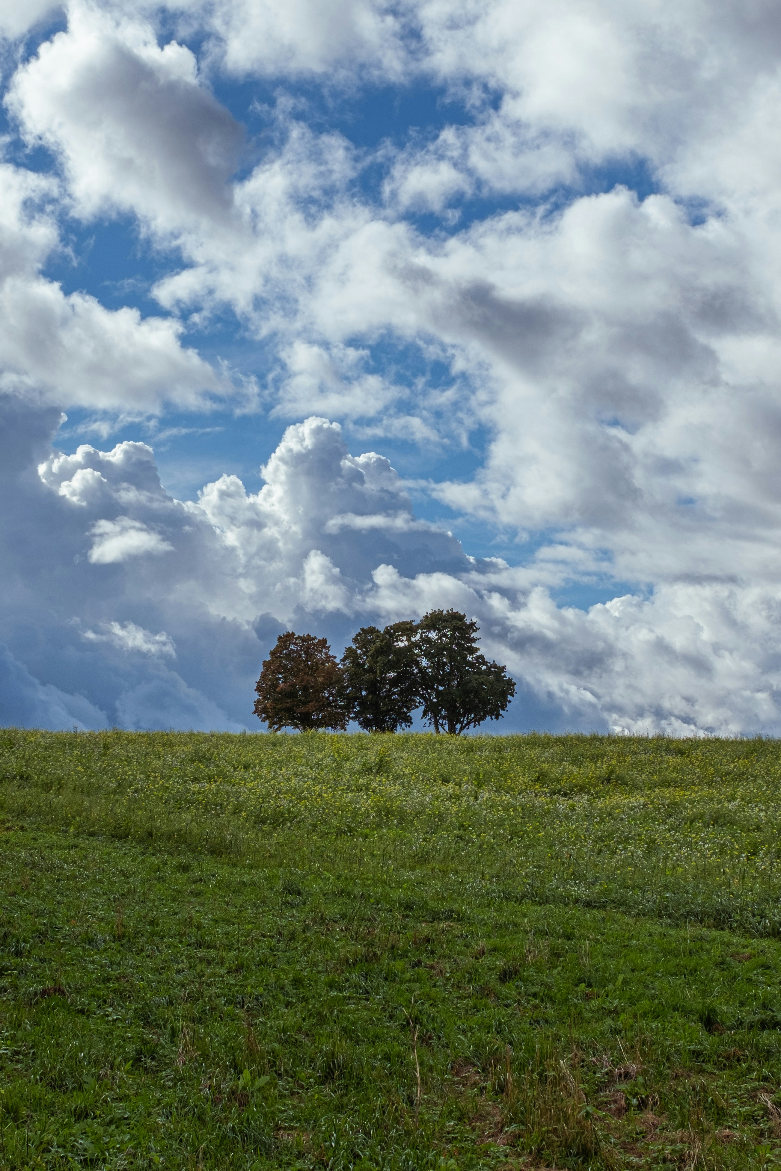 Photo by inga_images