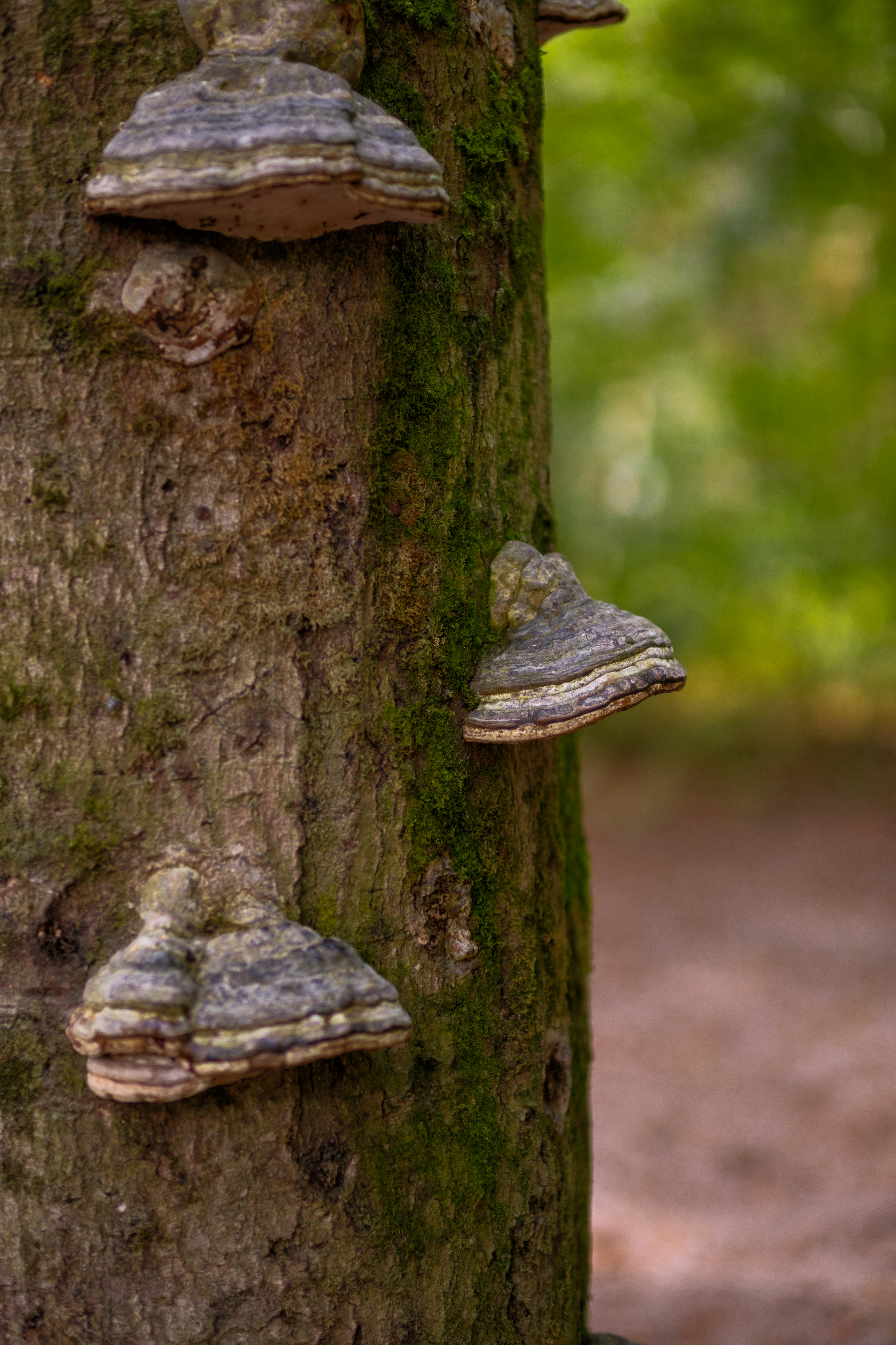 Photo by haberdoedas