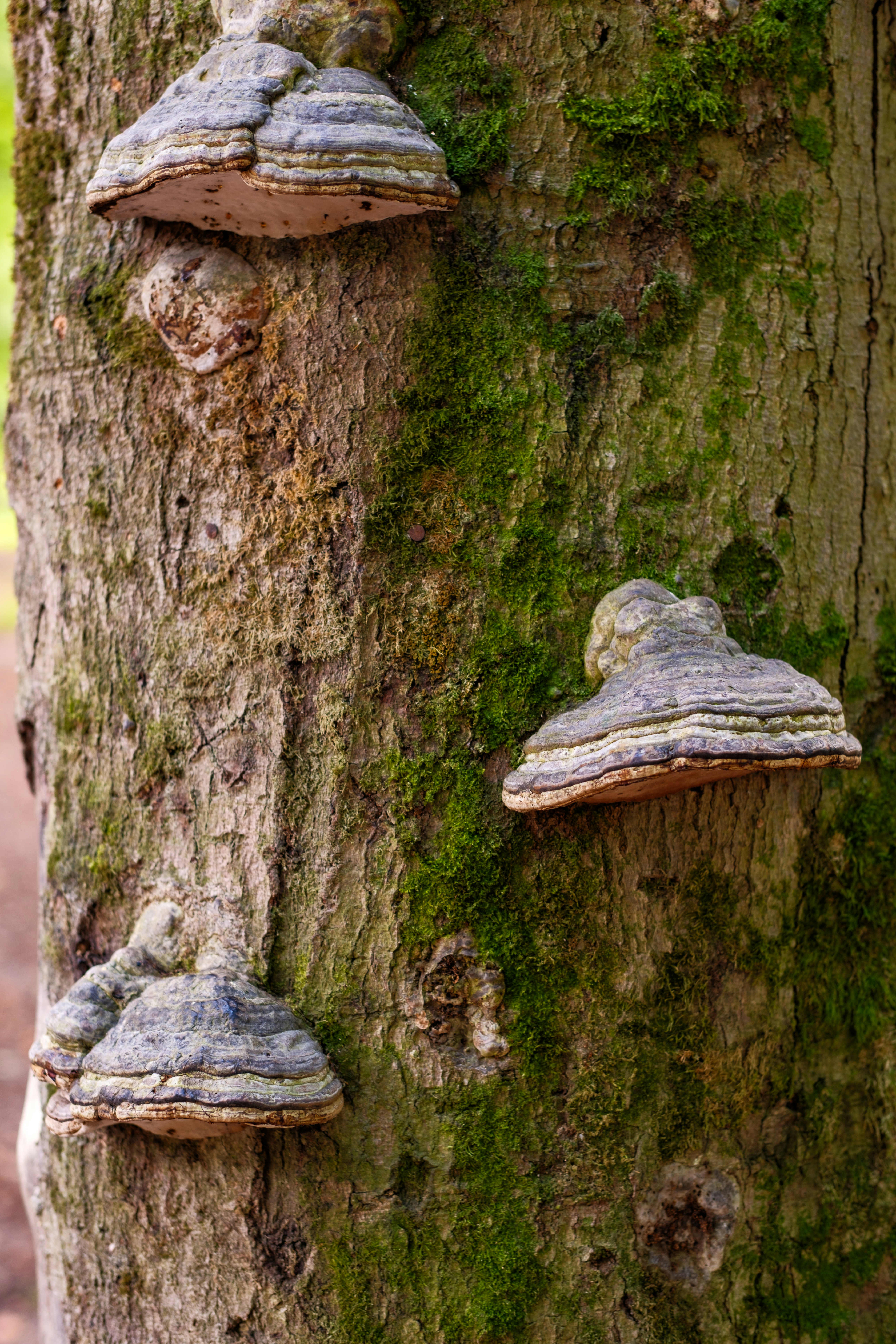 Photo by haberdoedas