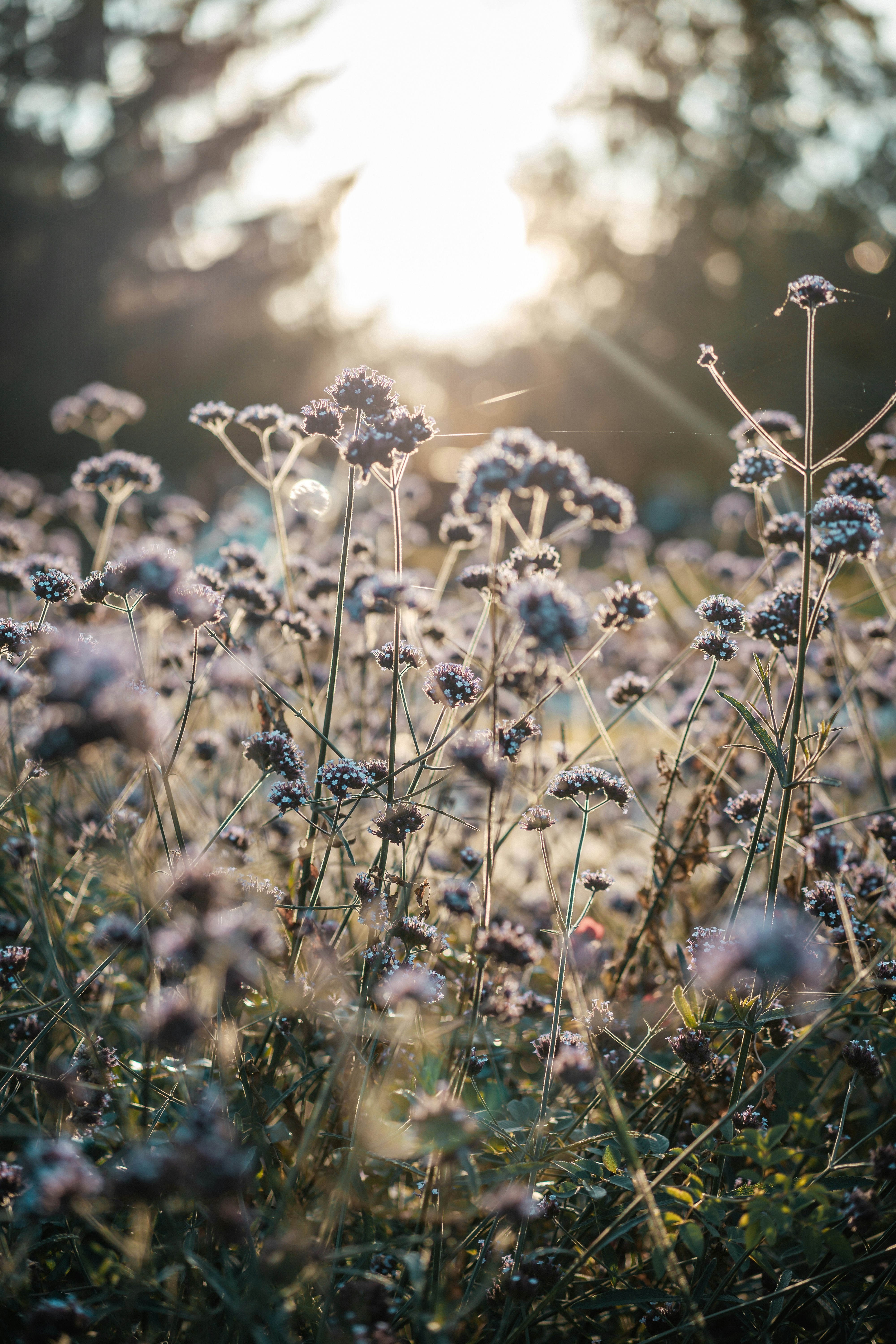 Photo by anamnesis33