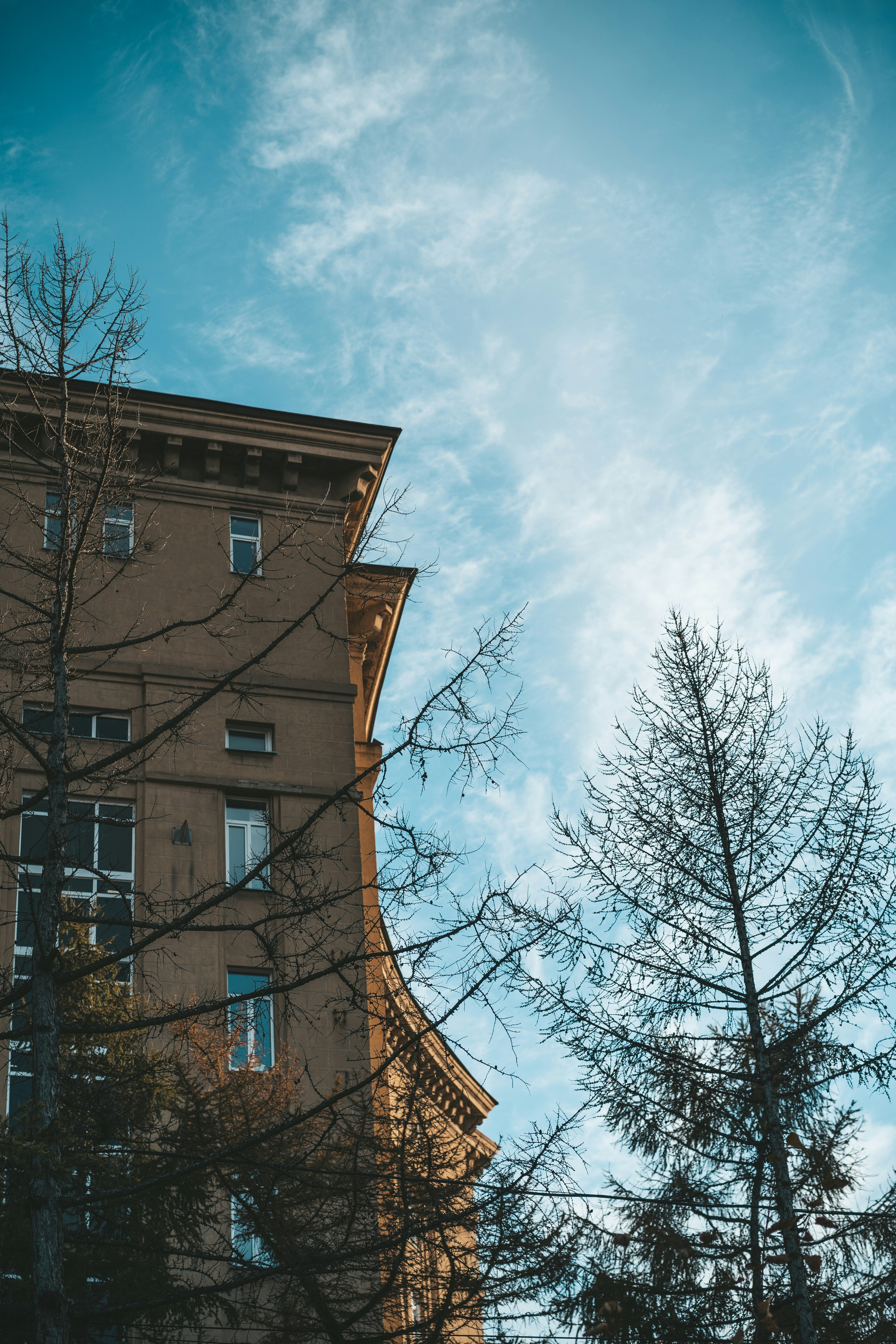 Photo by anamnesis33