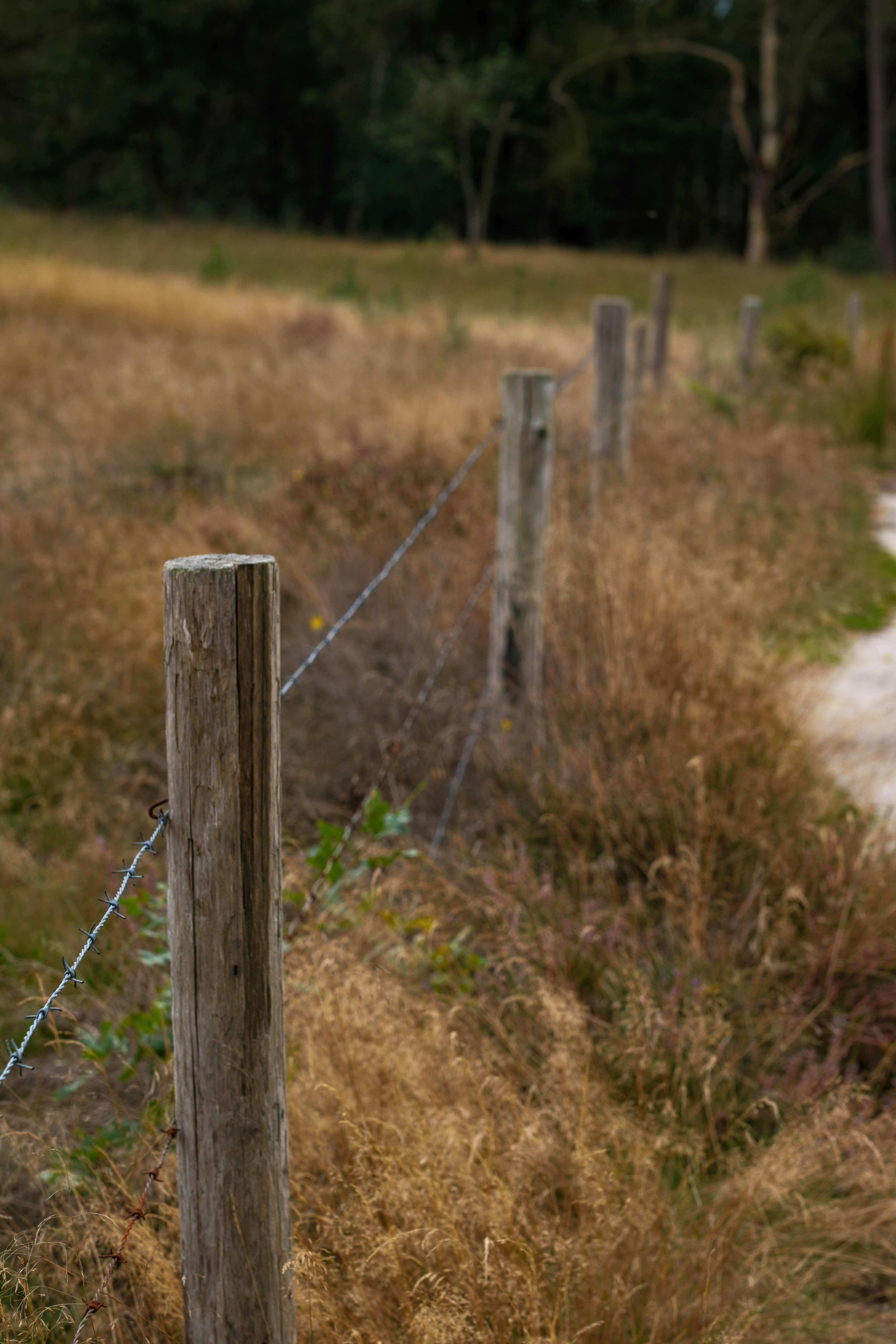 Photo by haberdoedas