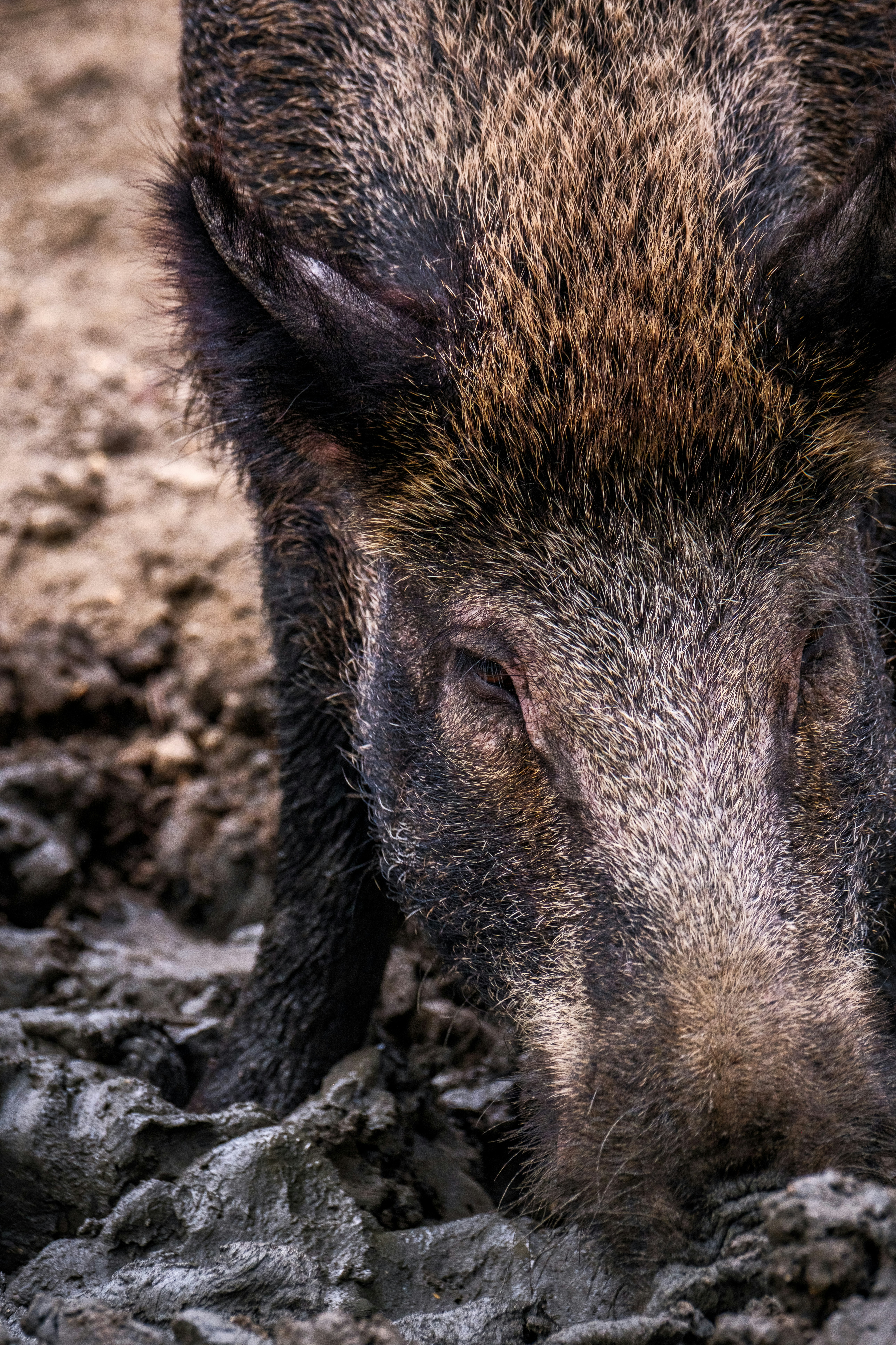 Photo by haberdoedas