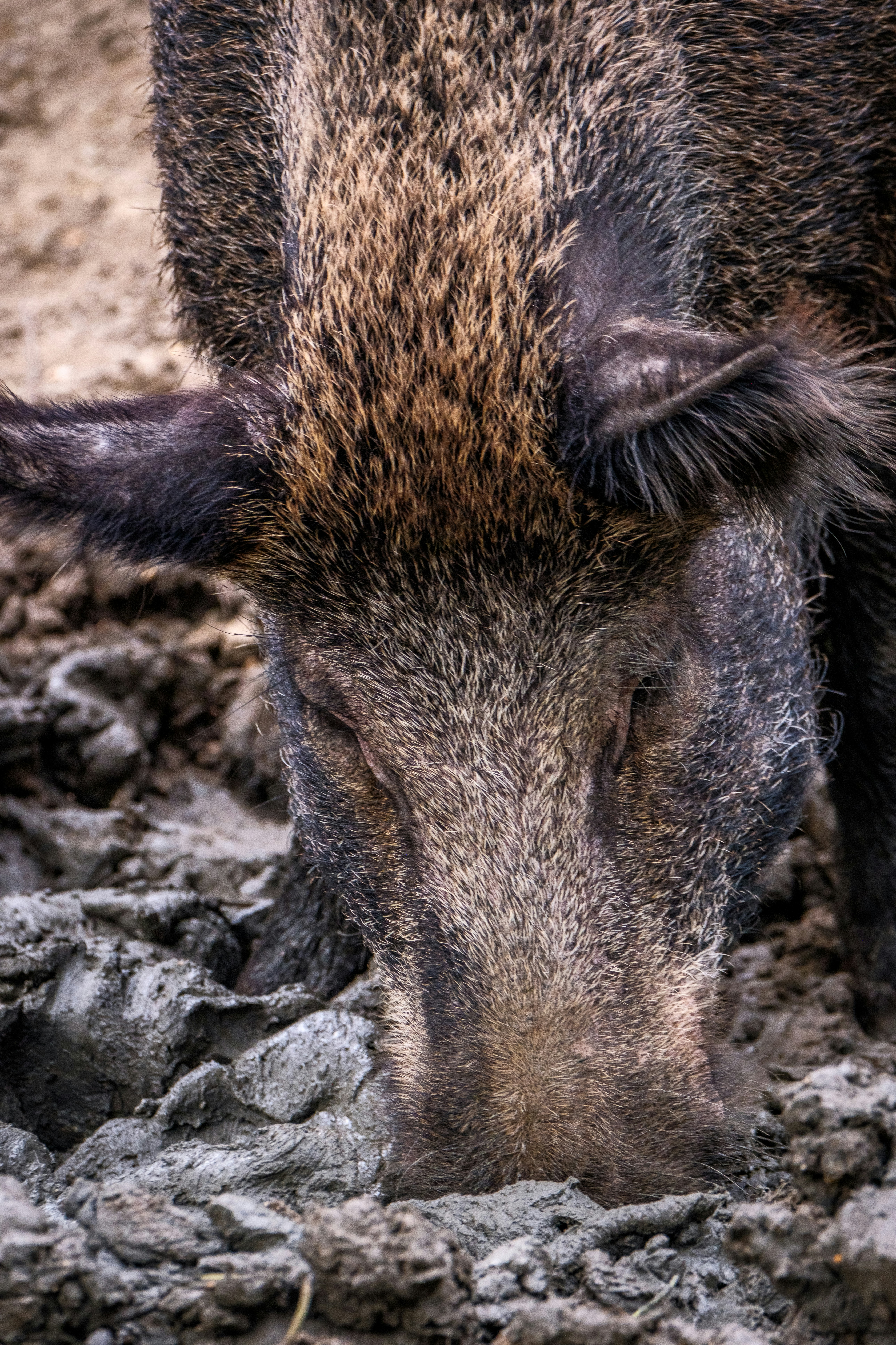 Photo by haberdoedas