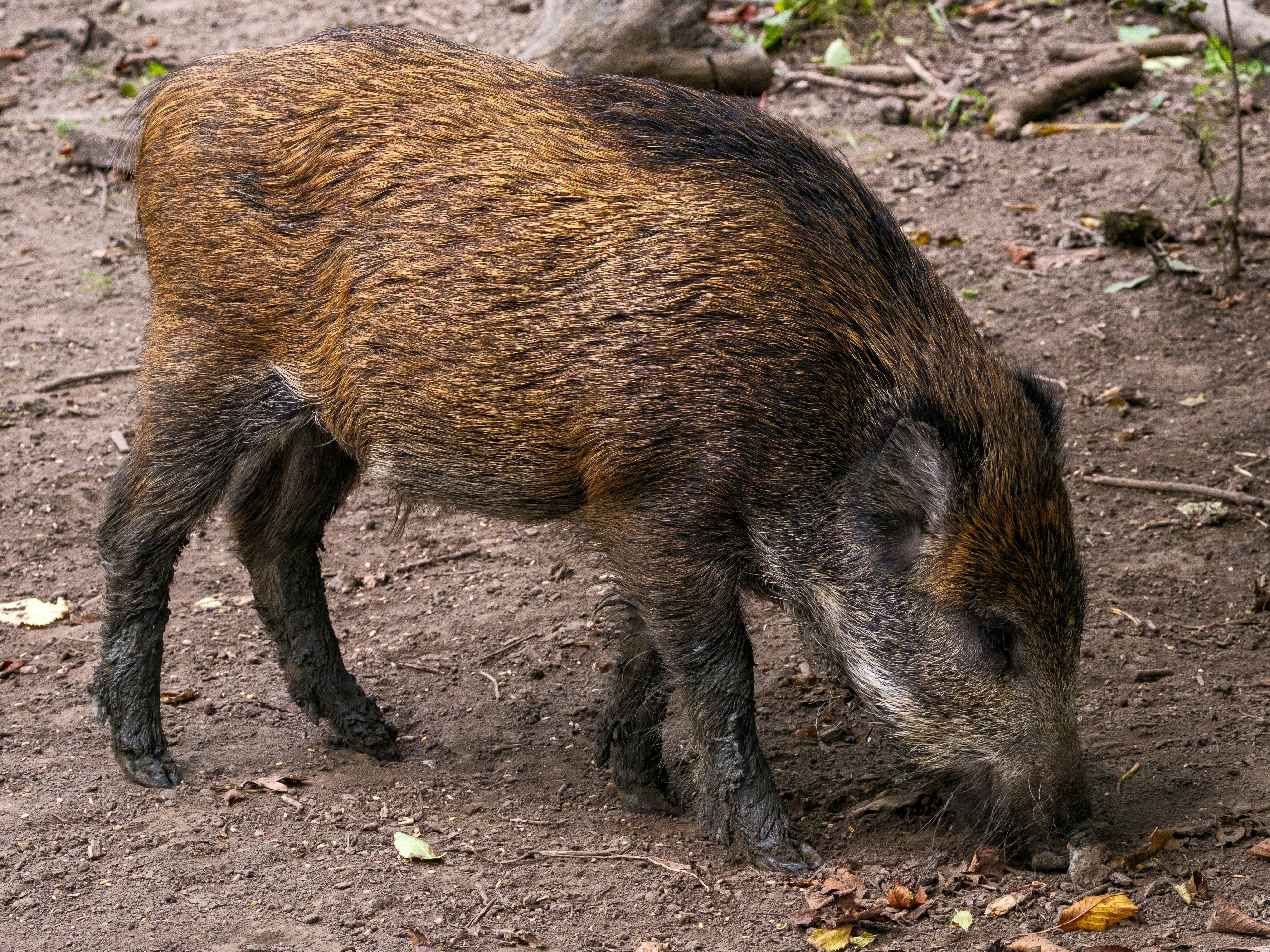 Photo by haberdoedas