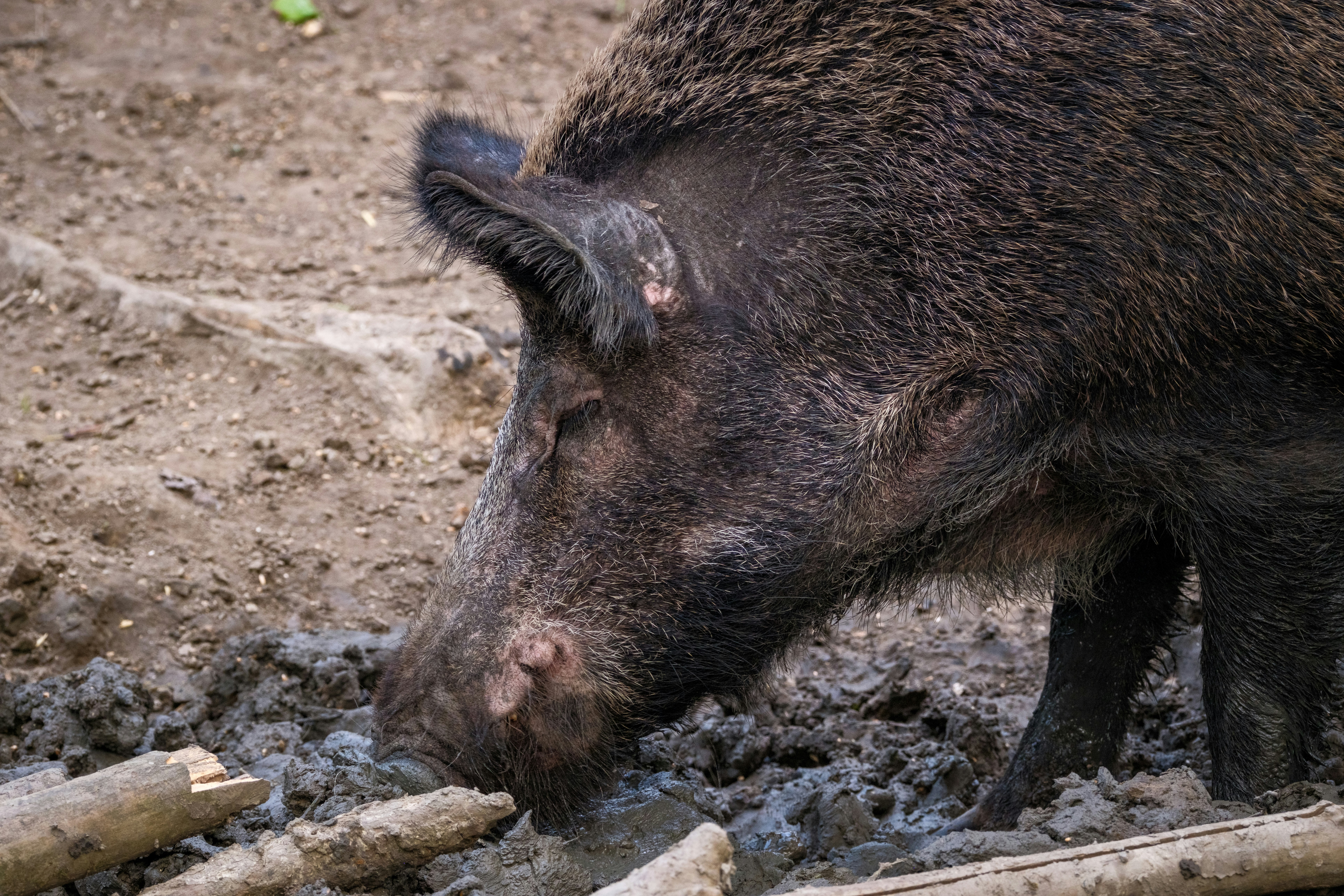 Photo by haberdoedas