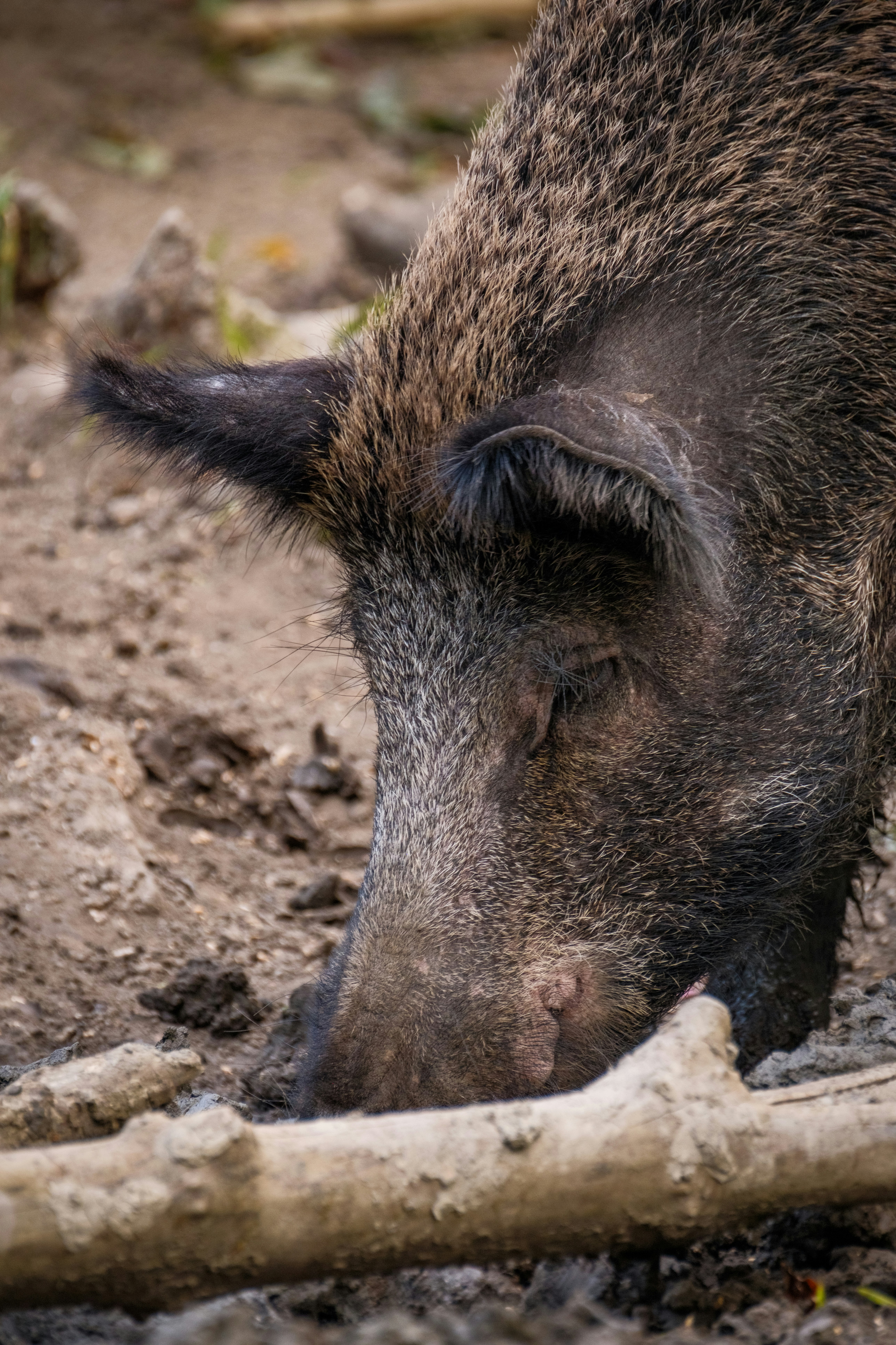 Photo by haberdoedas