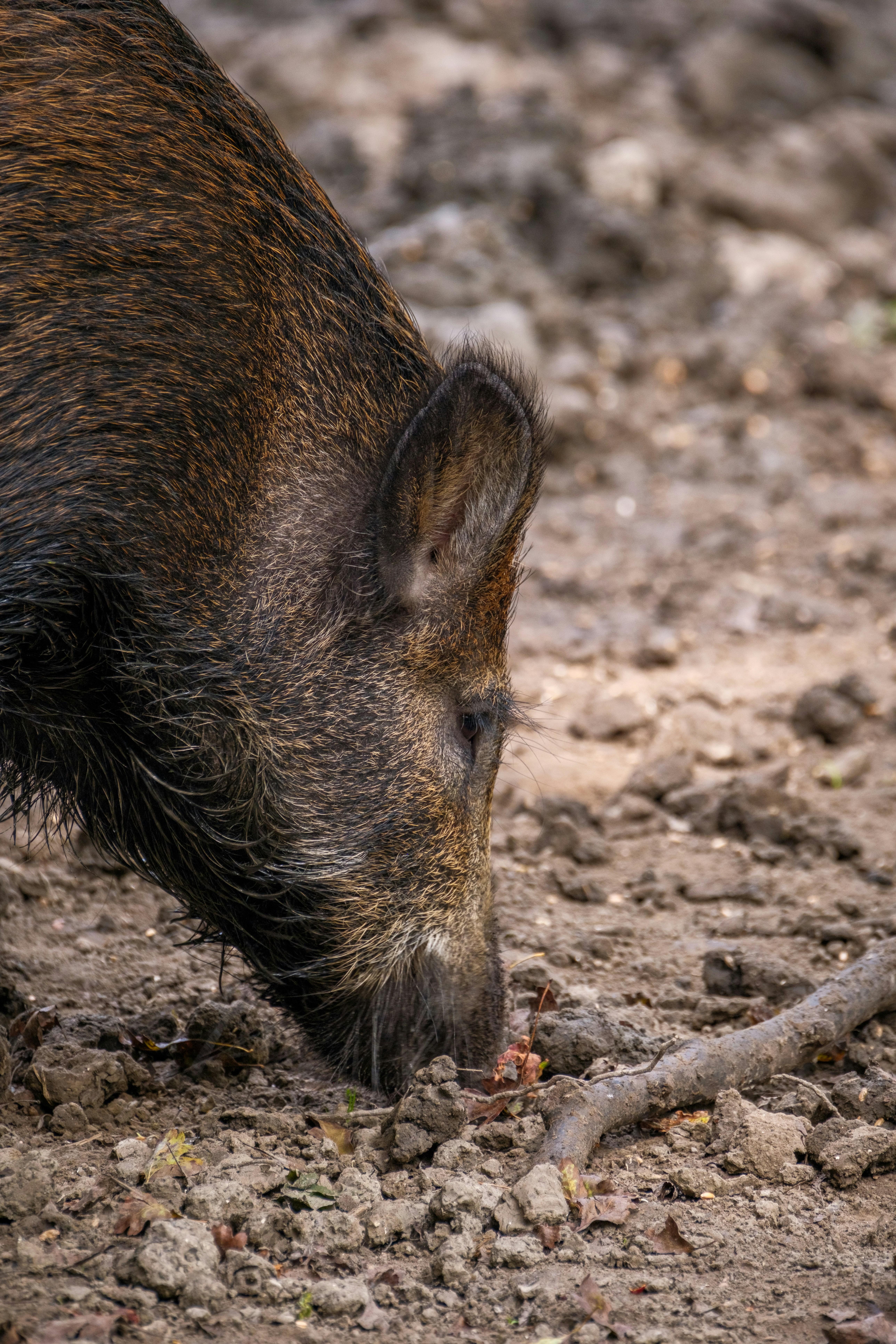 Photo by haberdoedas