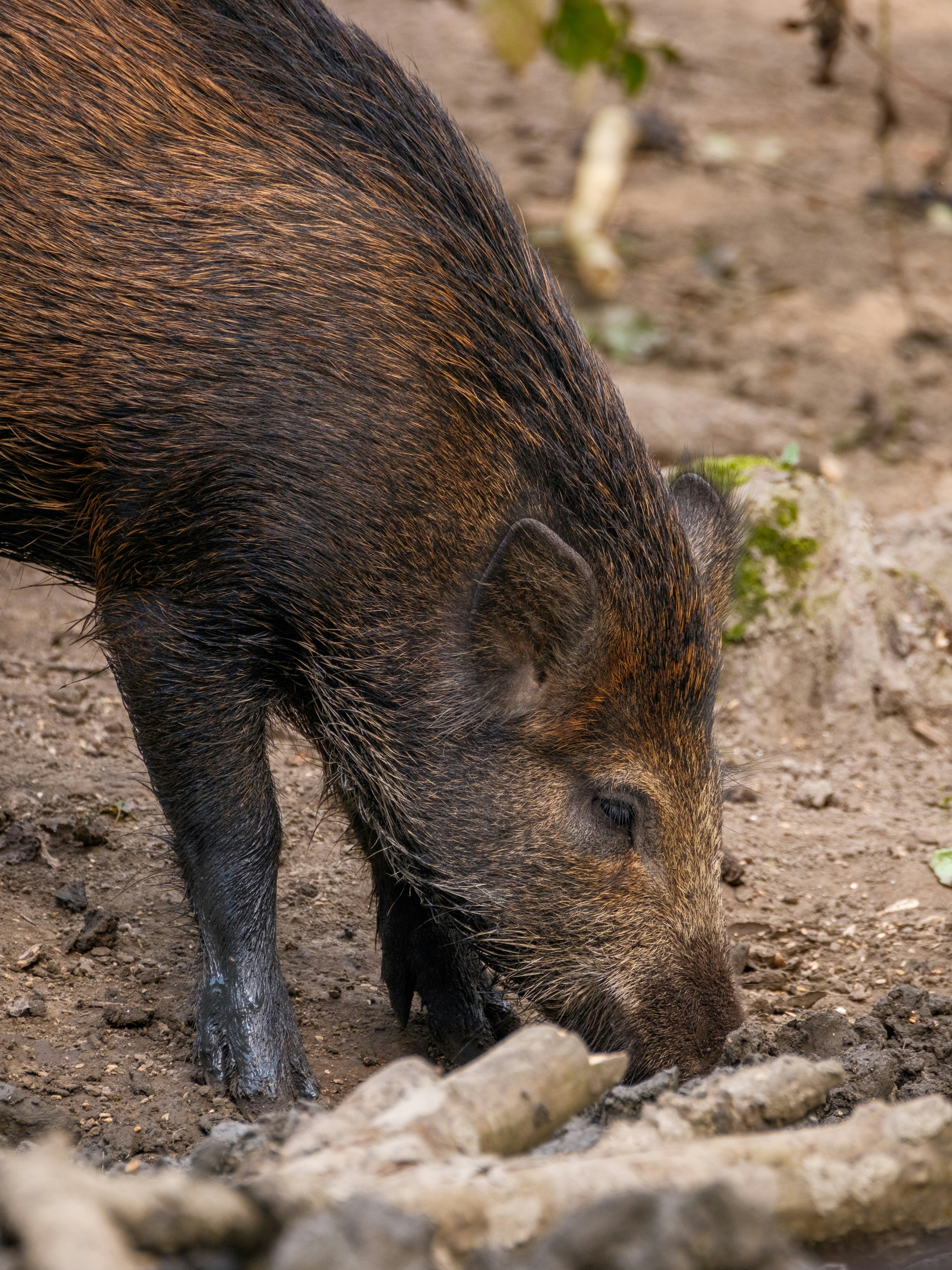 Photo by haberdoedas