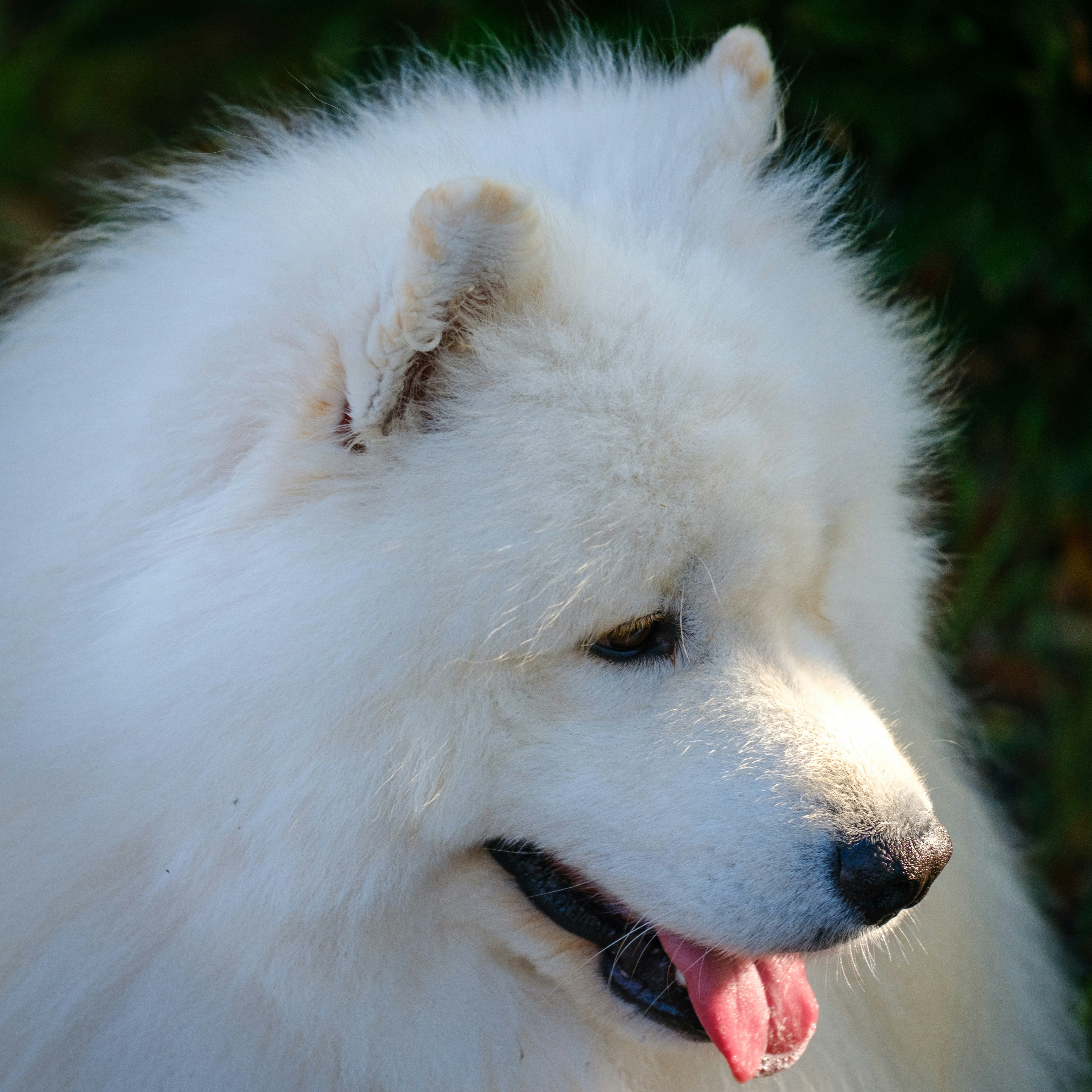 Photo by haberdoedas