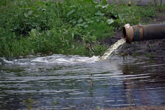 A fire hydrant leaking water into a street
