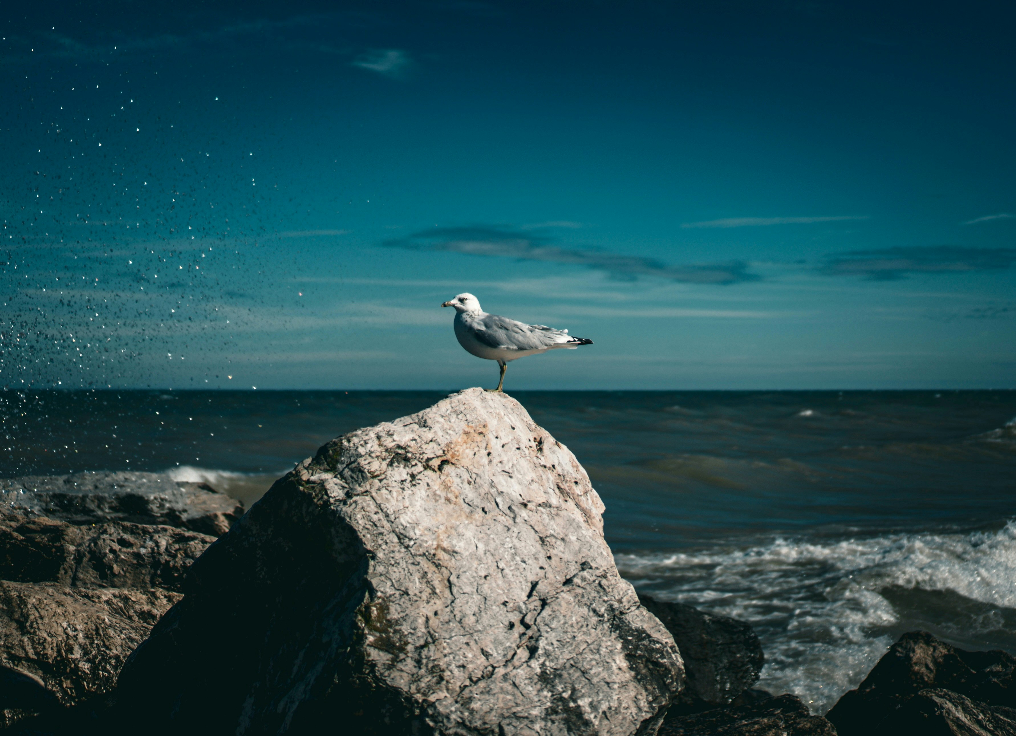 Photo by autumntomich