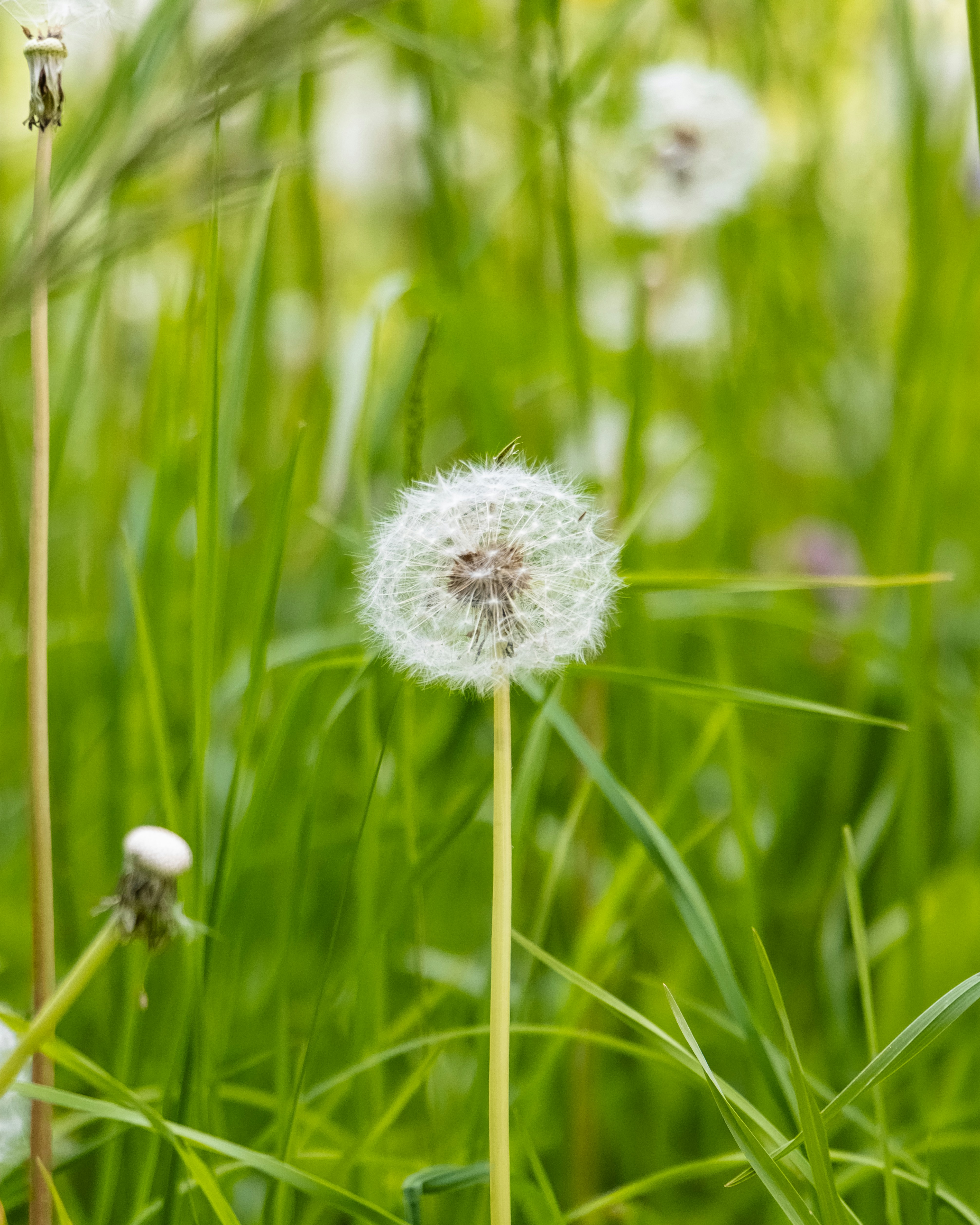 Photo by iamiliaafsharpoor