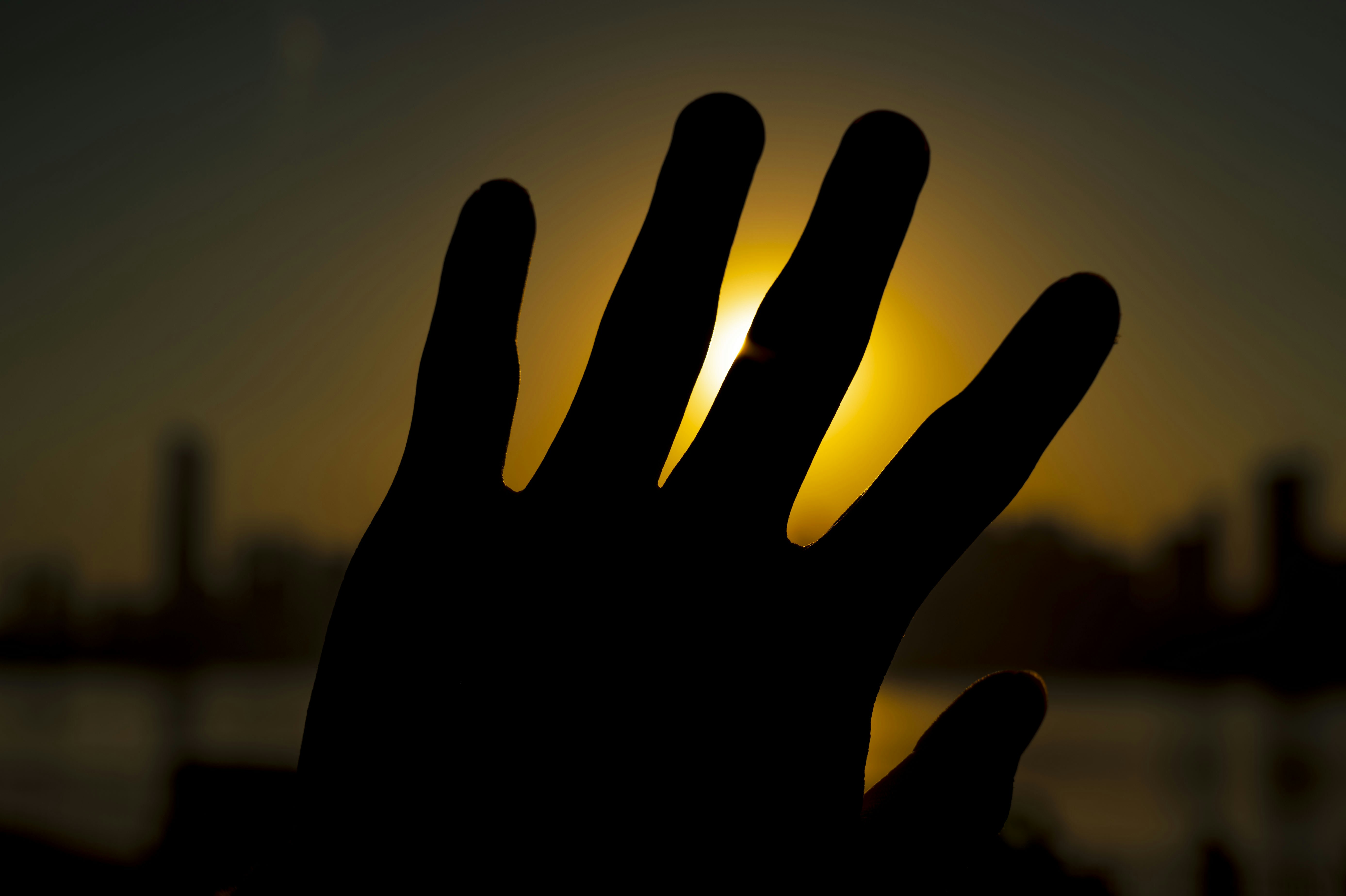 Photo by excellentcx