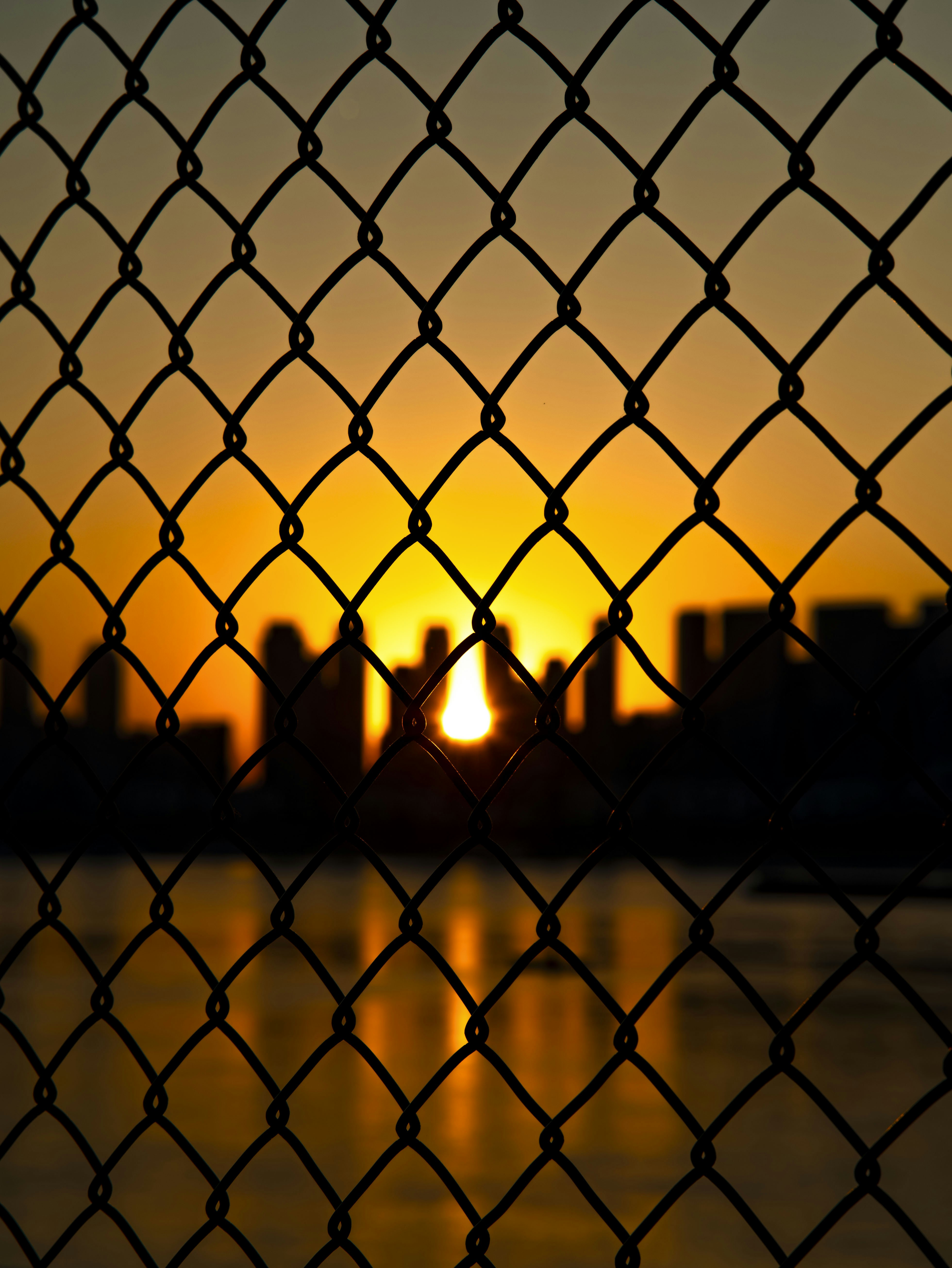 Photo by excellentcx